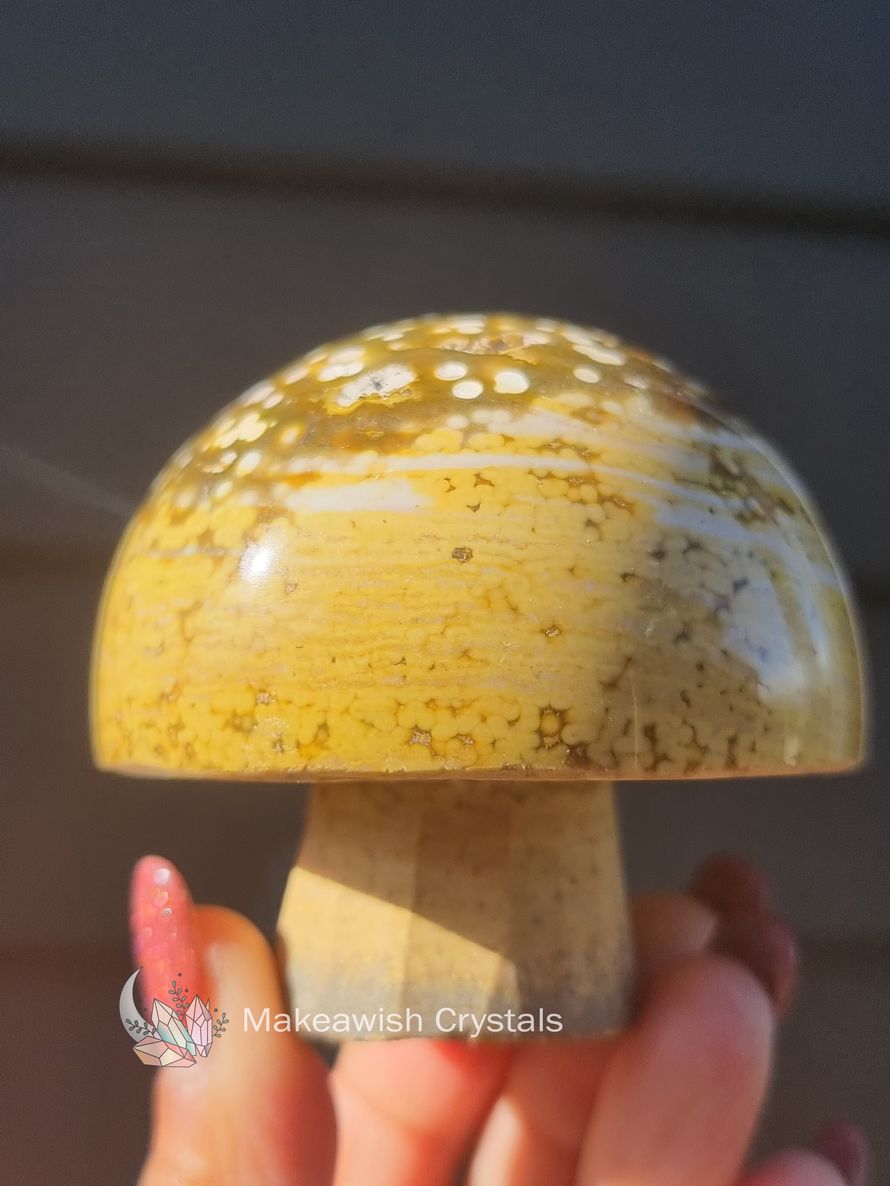 Ocean Jasper Mushroom