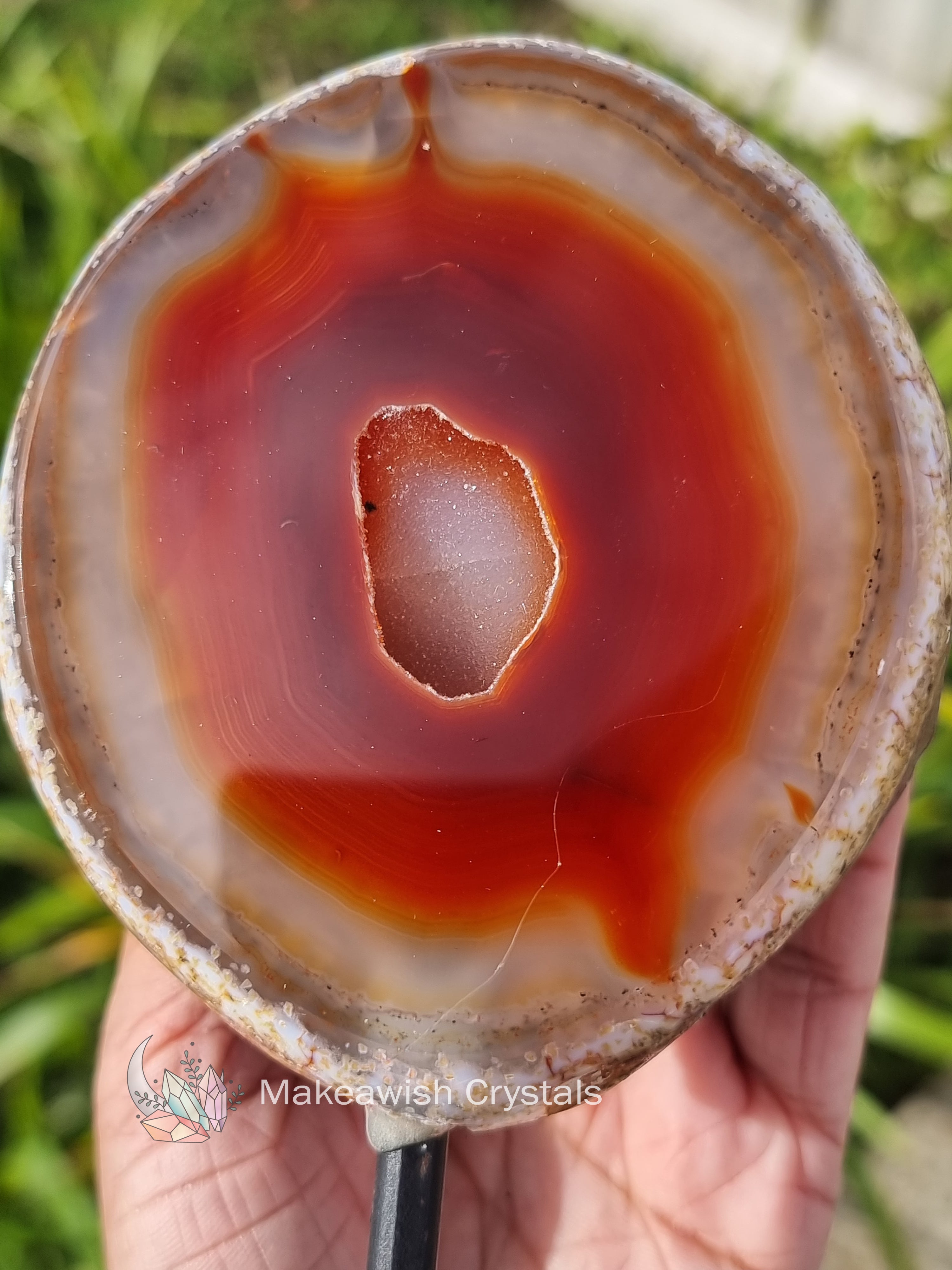 Carnelian Agate on Stand