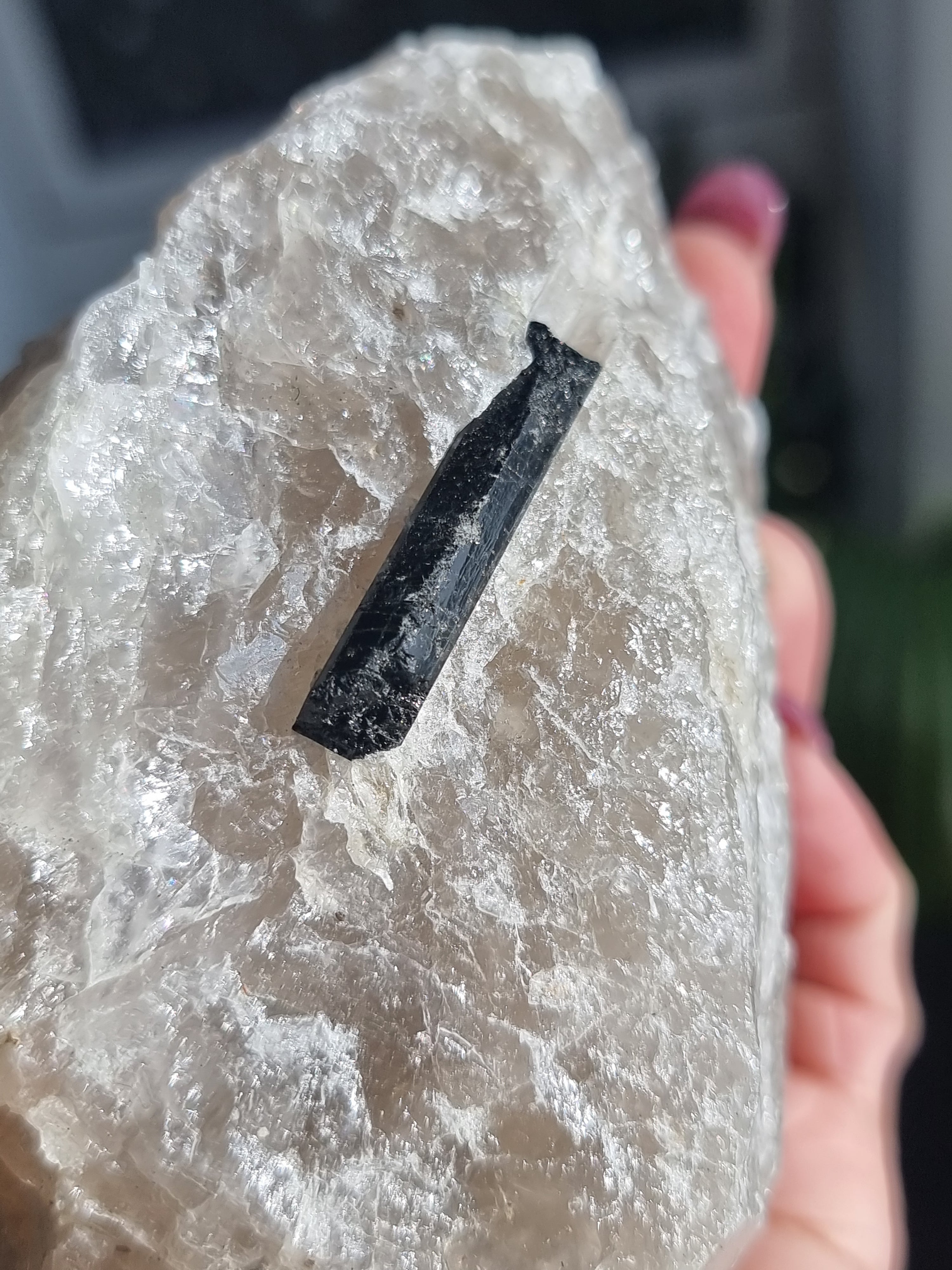 Black Tourmaline in Quartz Rough