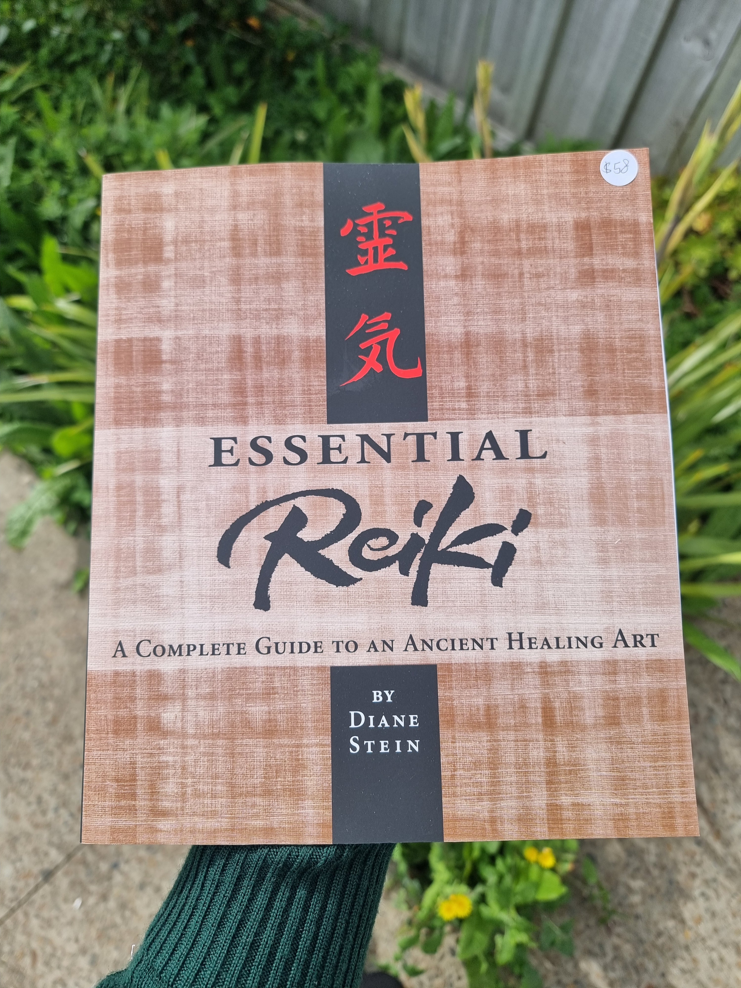 Essential Reiki Diane Stein