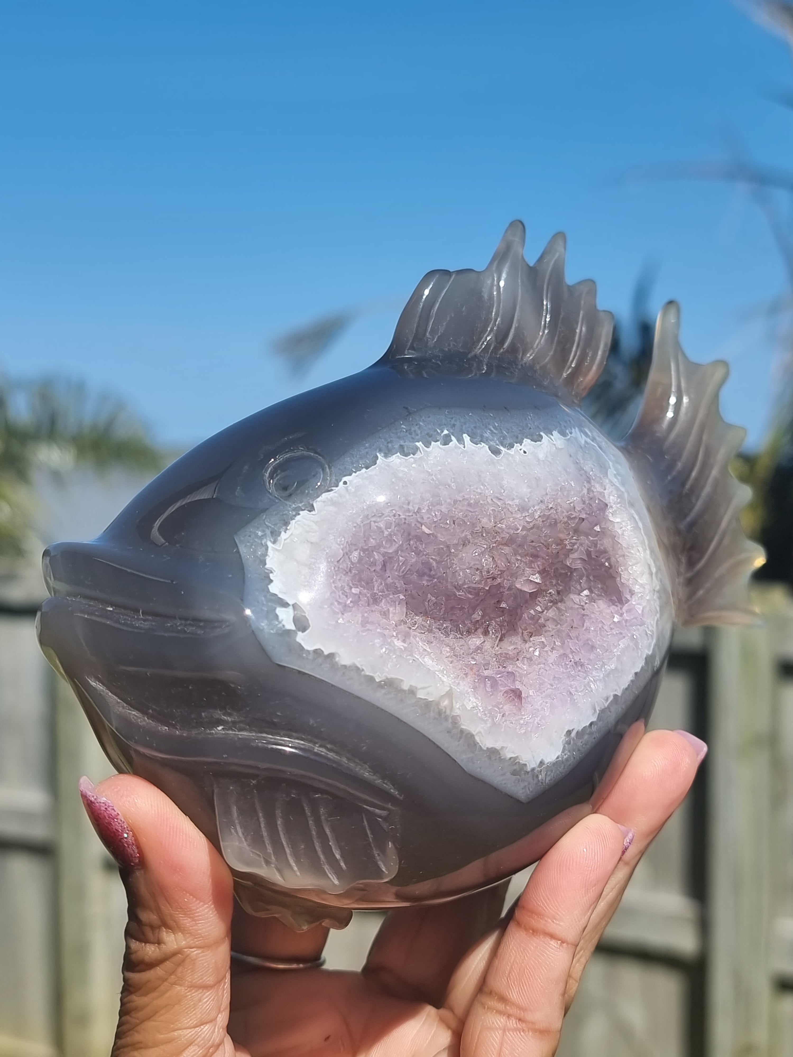 Agate Fish with Amethyst Druzy Large