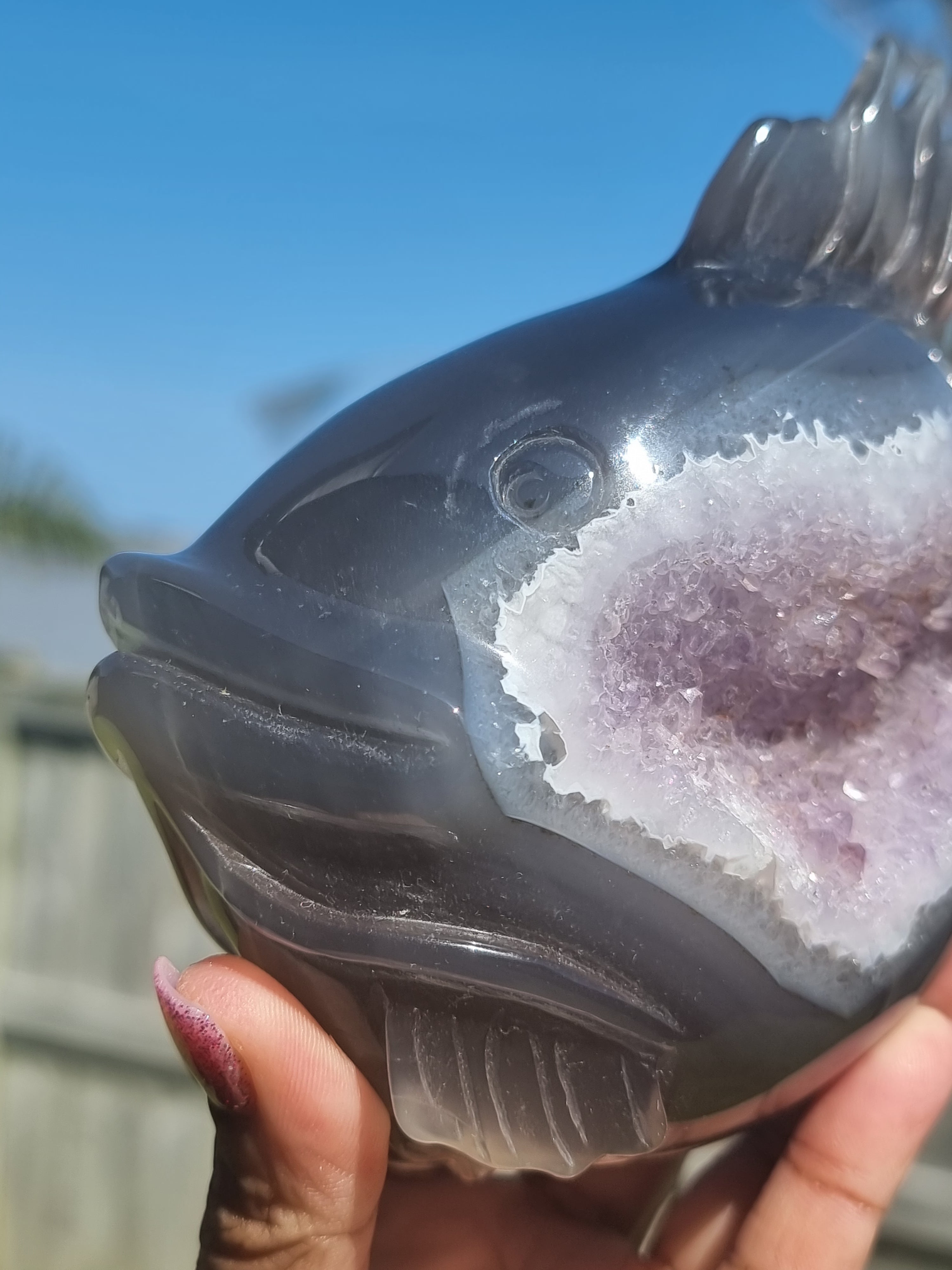 Agate Fish with Amethyst Druzy Large