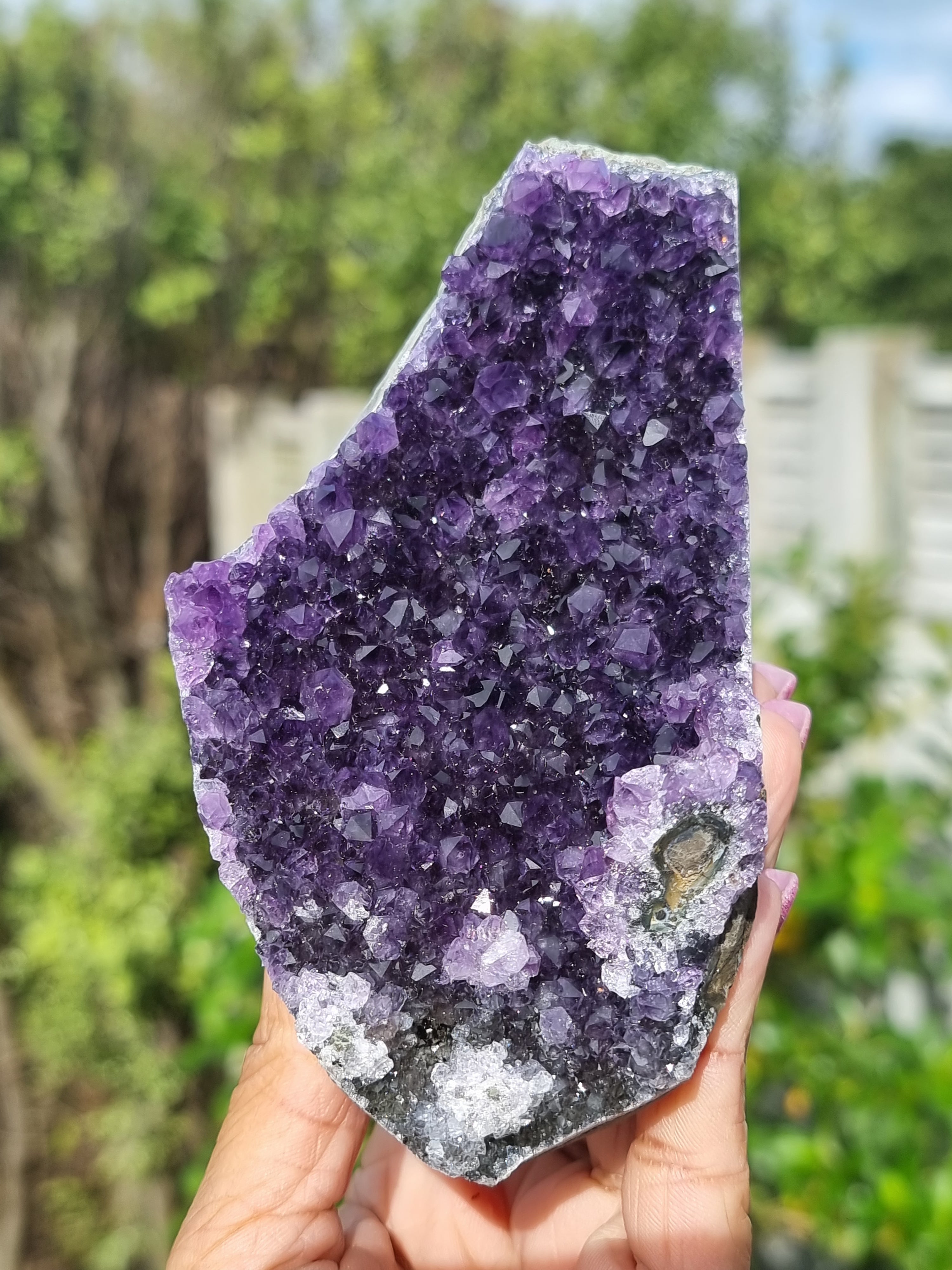 Uruguay Amethyst Cluster Freeform