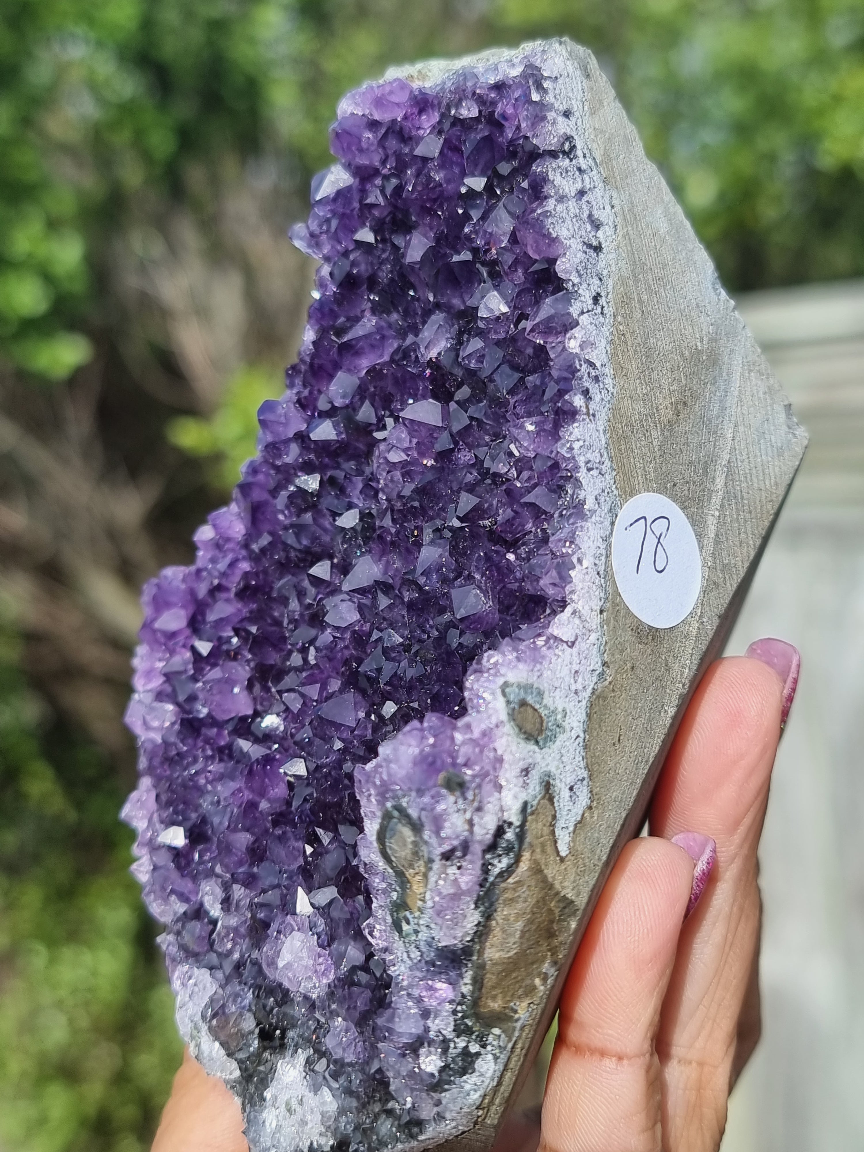 Uruguay Amethyst Cluster Freeform