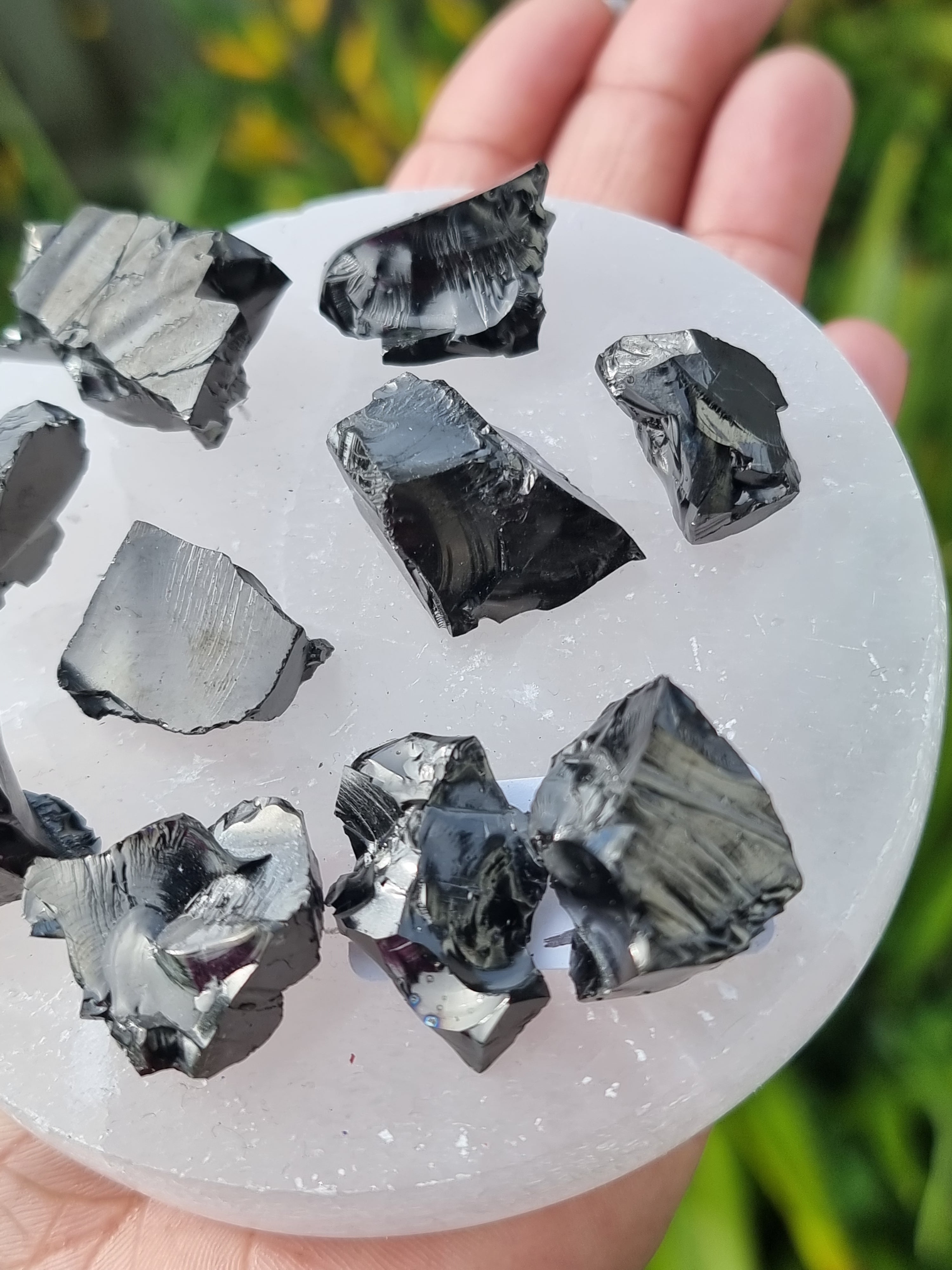 Elite Shungite Rough