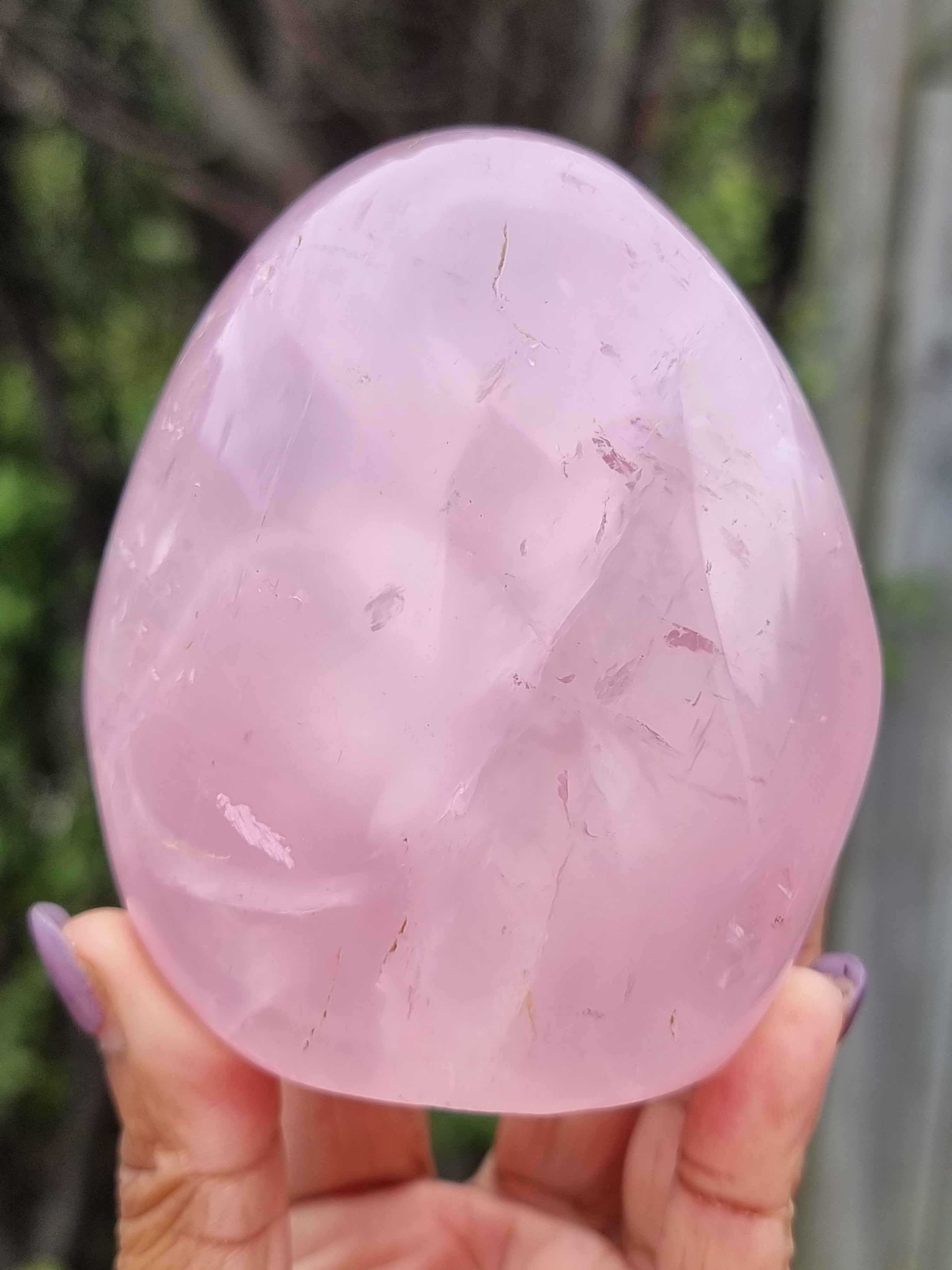 Rose Quartz Polished Freeform