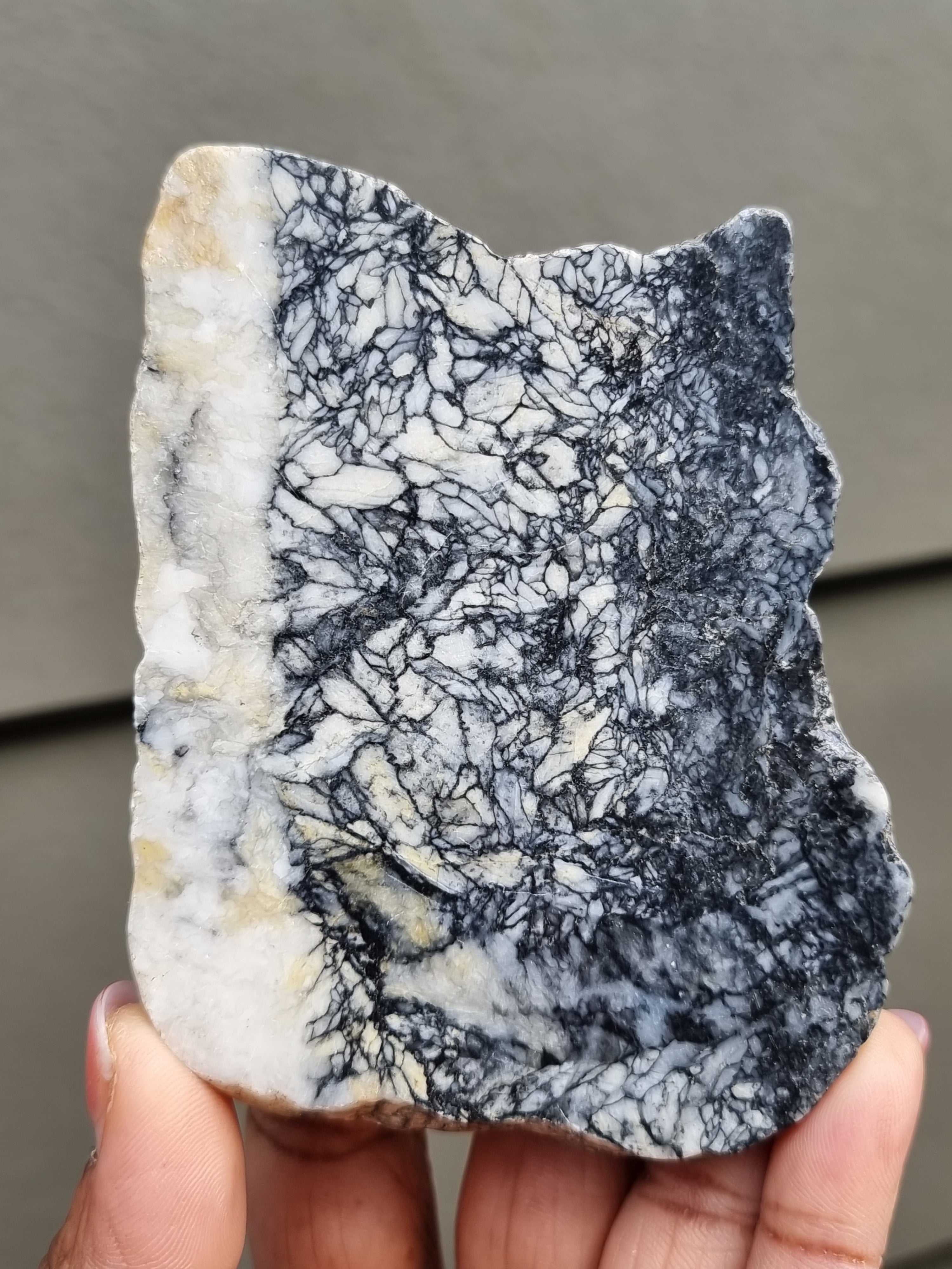 Pinolith Jasper Rough Slab