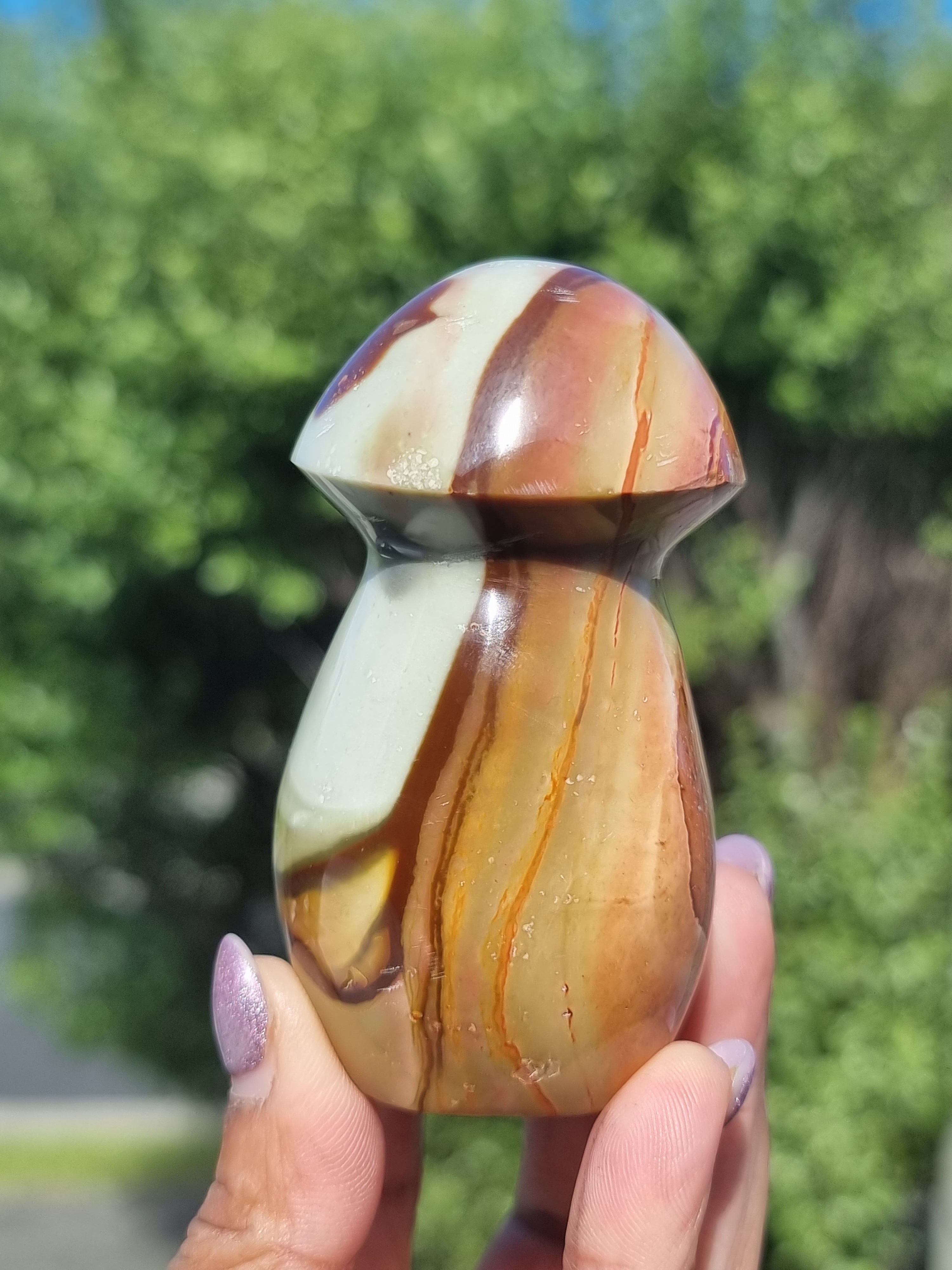 Polychrome Jasper Mushroom