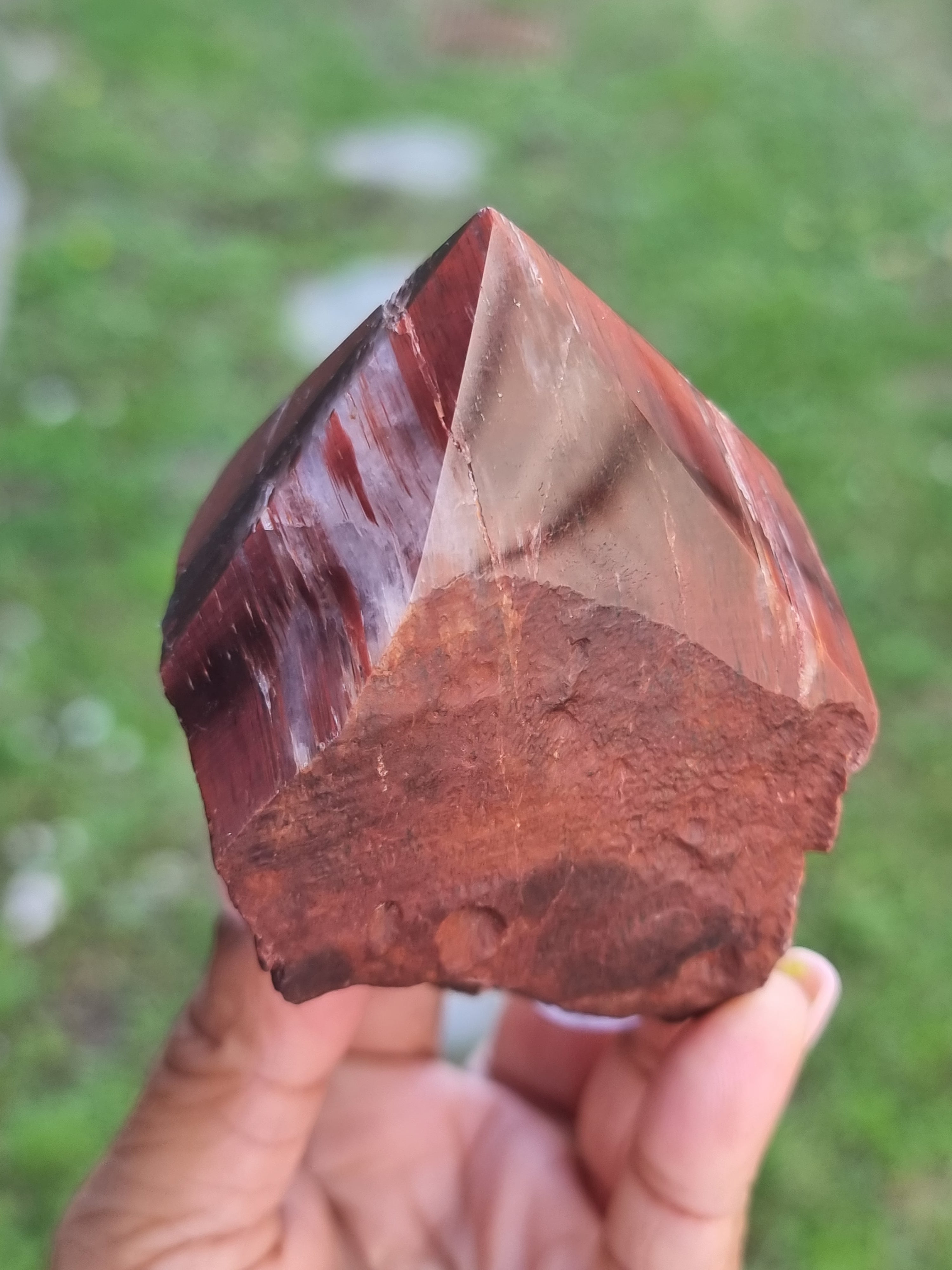 Red Tigers eye Rough Tip Point