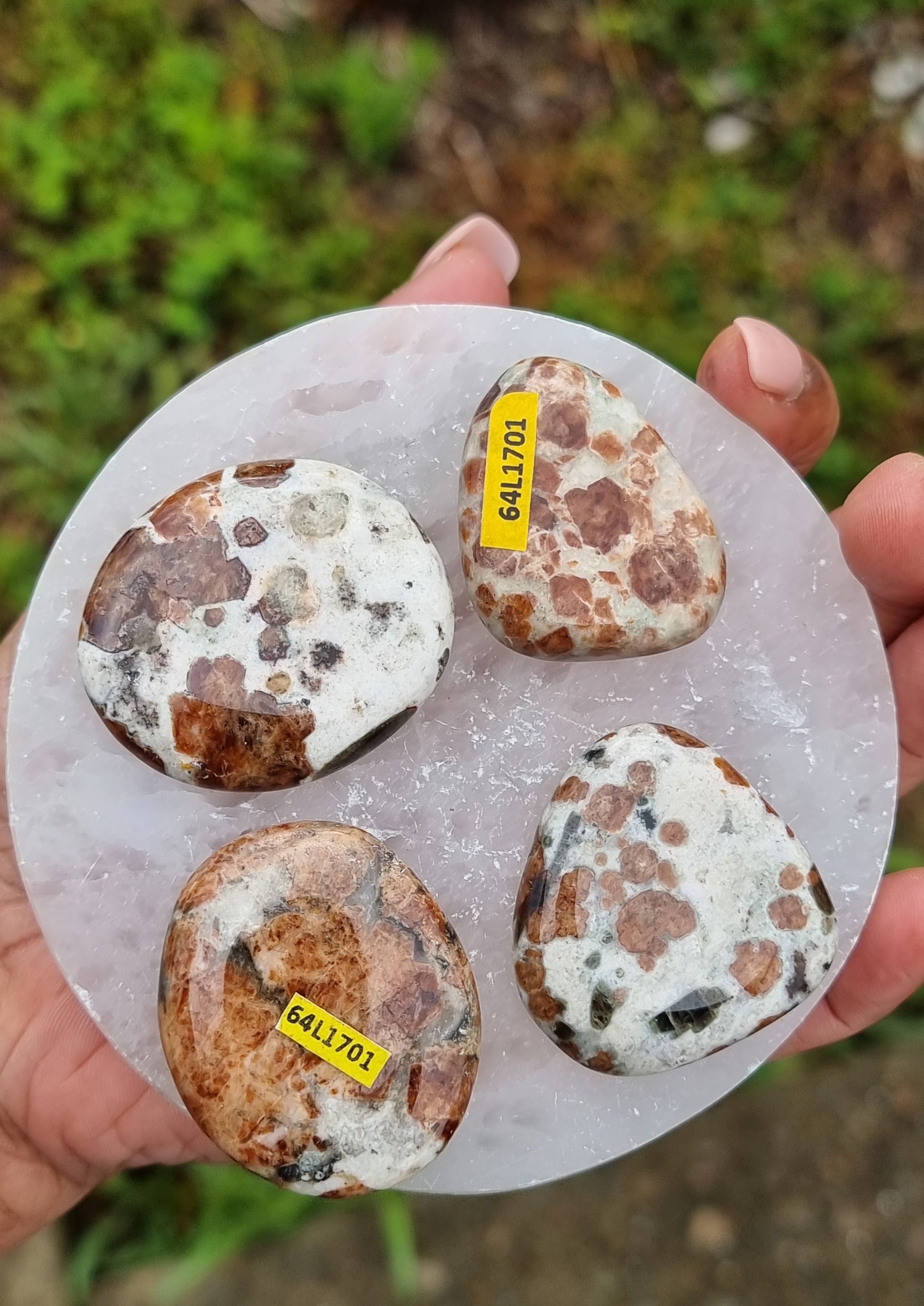 Garnet in Limestone Flat Stone