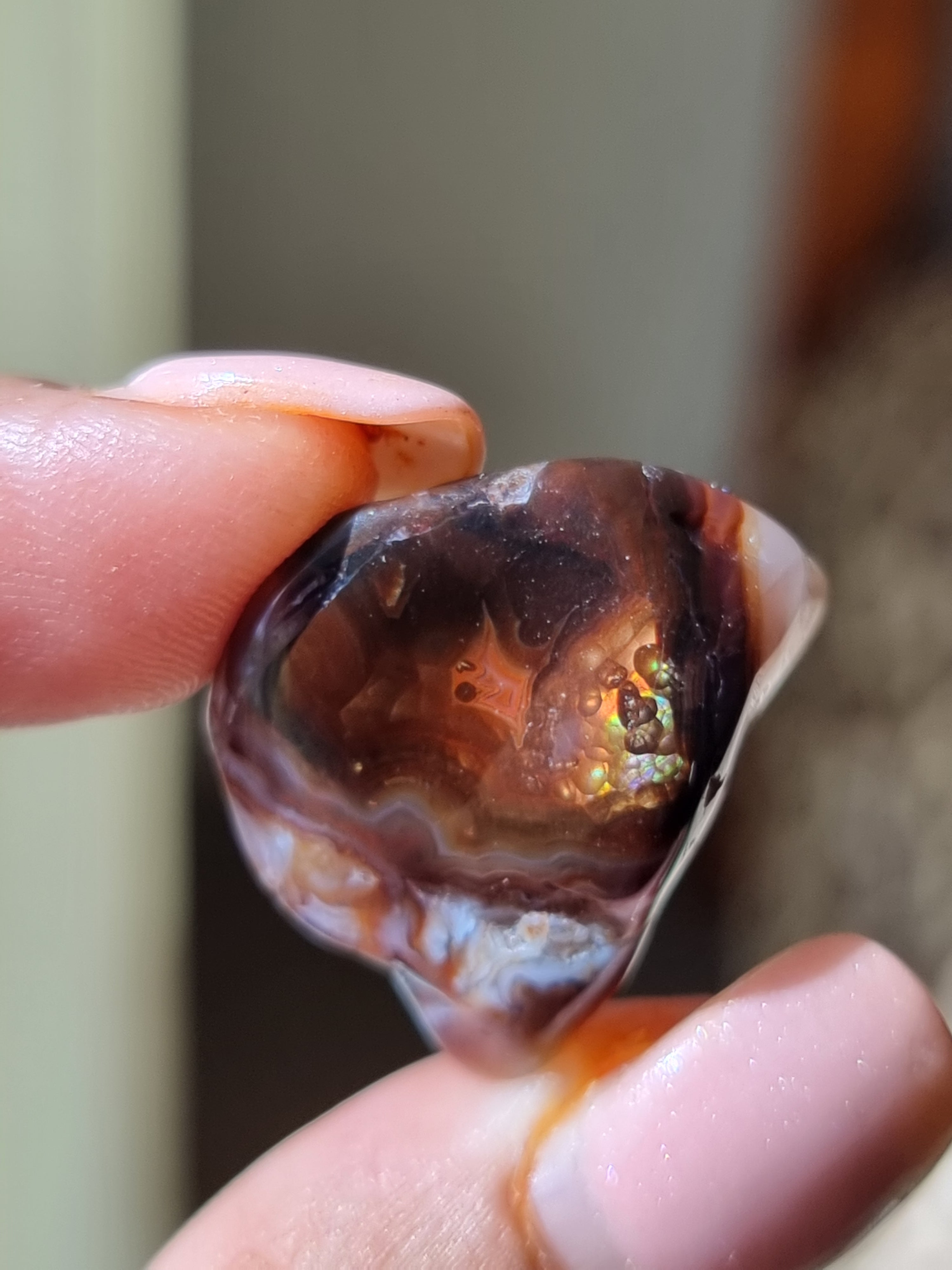 Fire agate discount rough