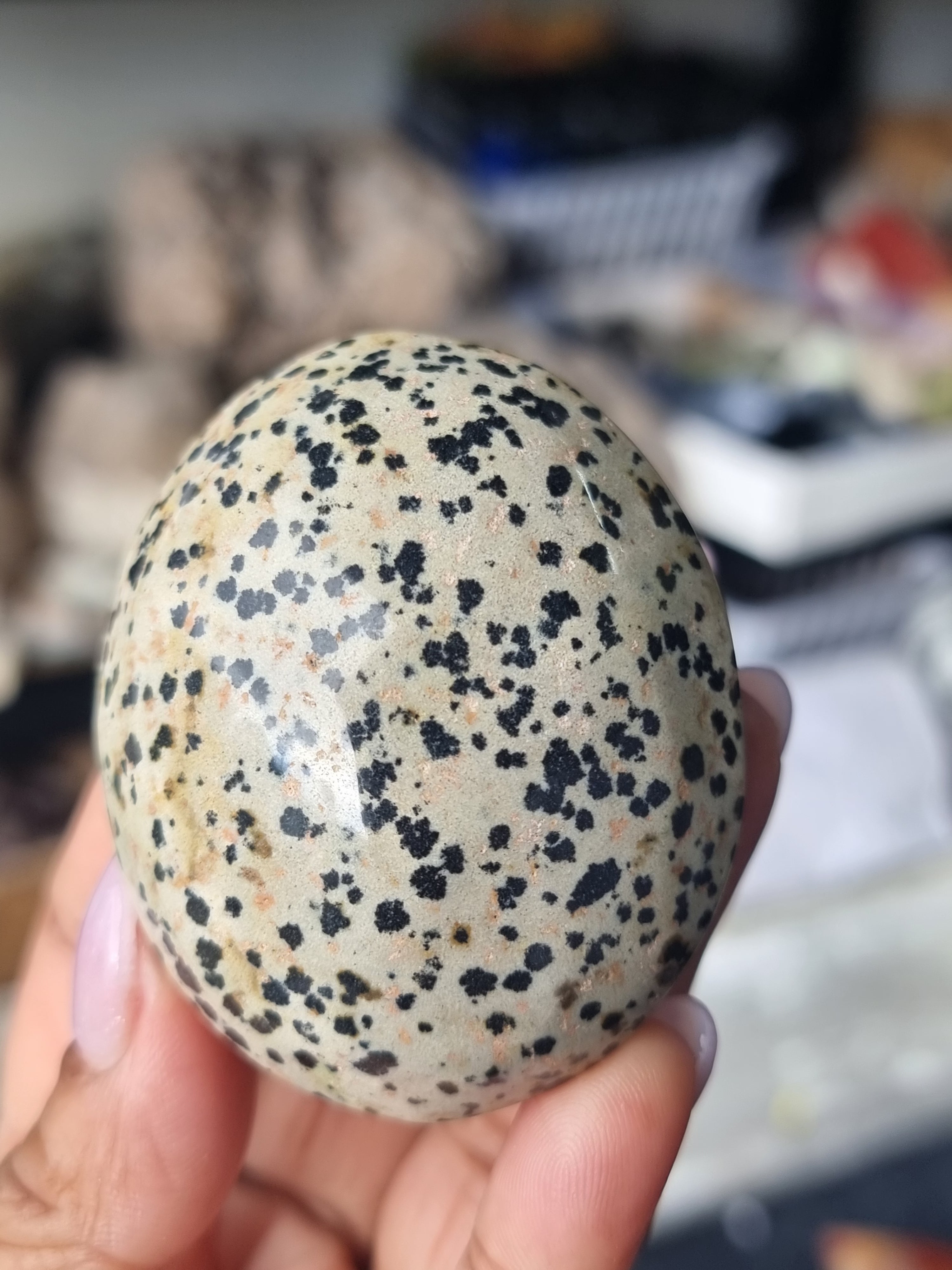 Dalmatian Jasper Palm Stone