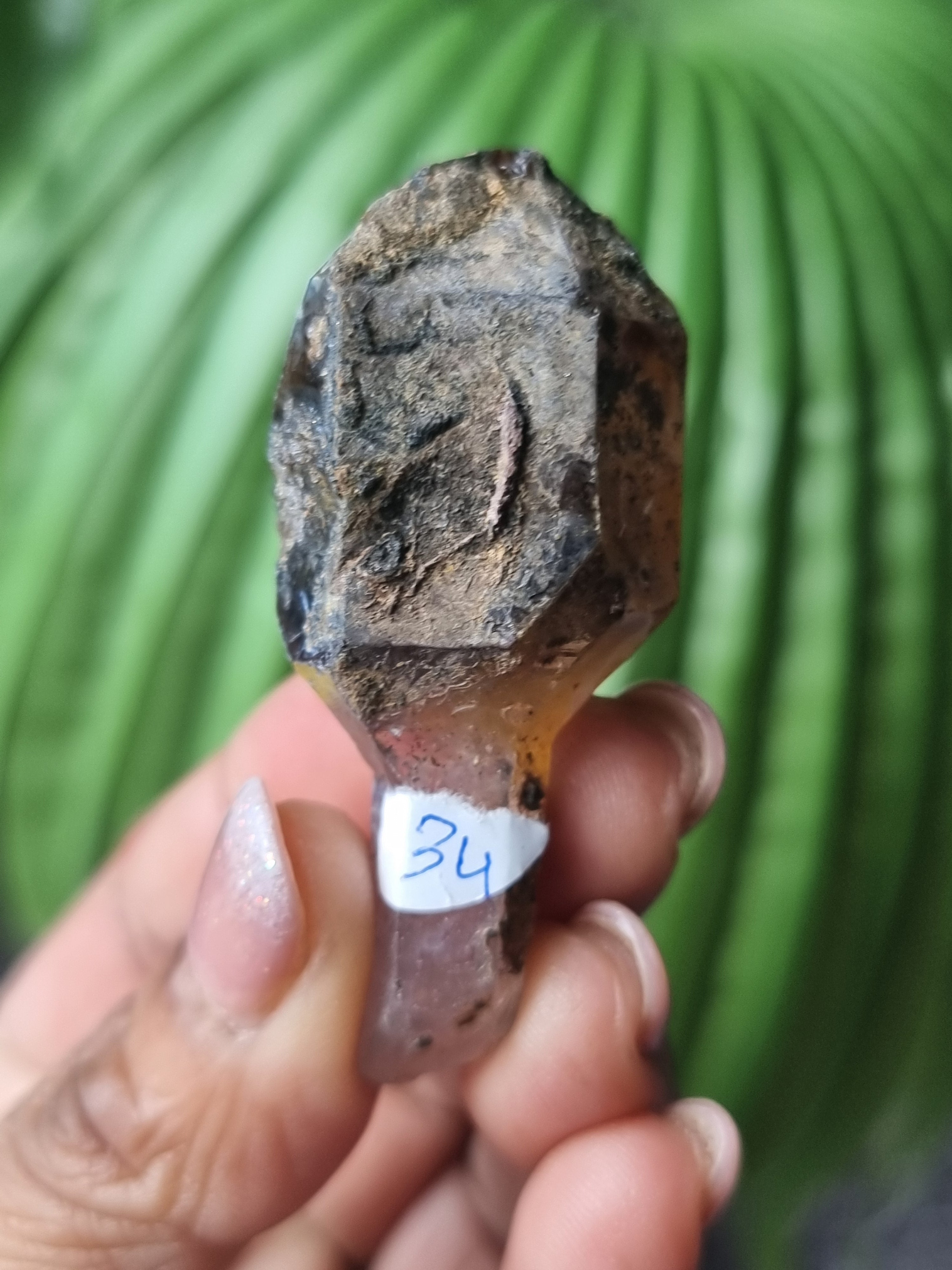 Amethyst Rough Sceptor