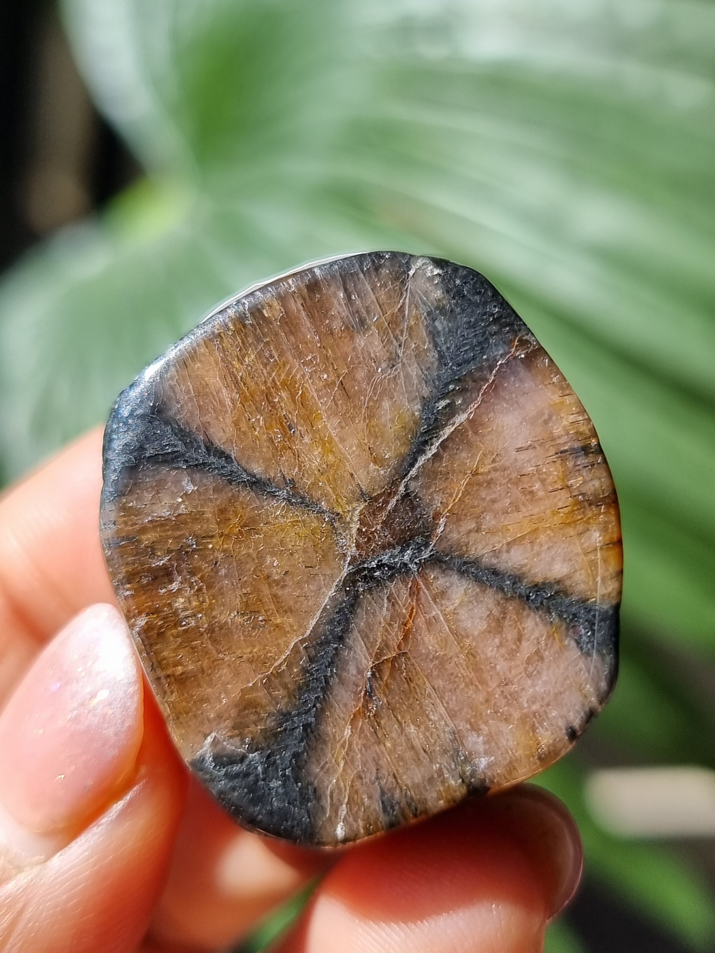 Chasiolite Rough Cut