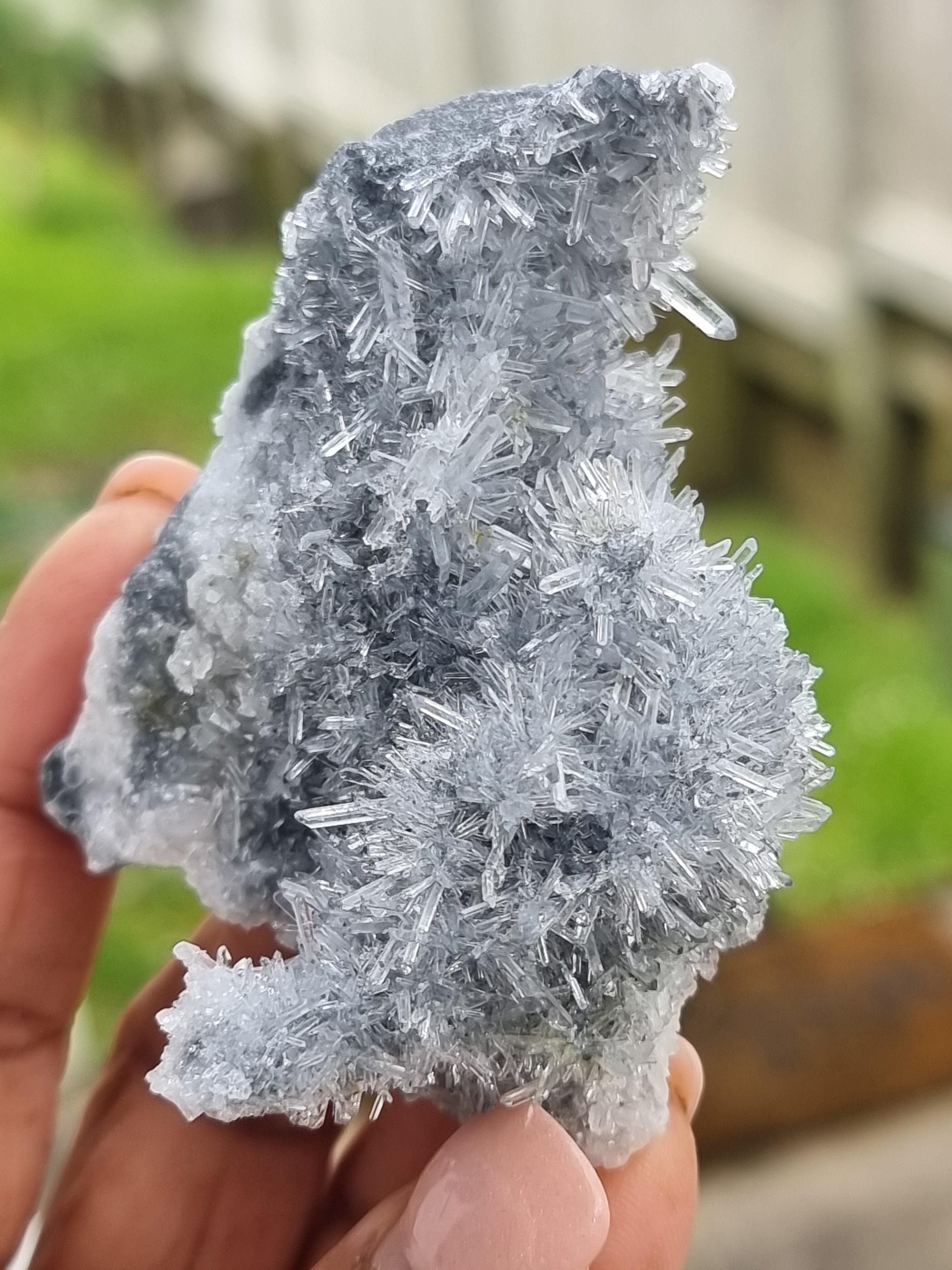 Coulmbian Quartz Cluster