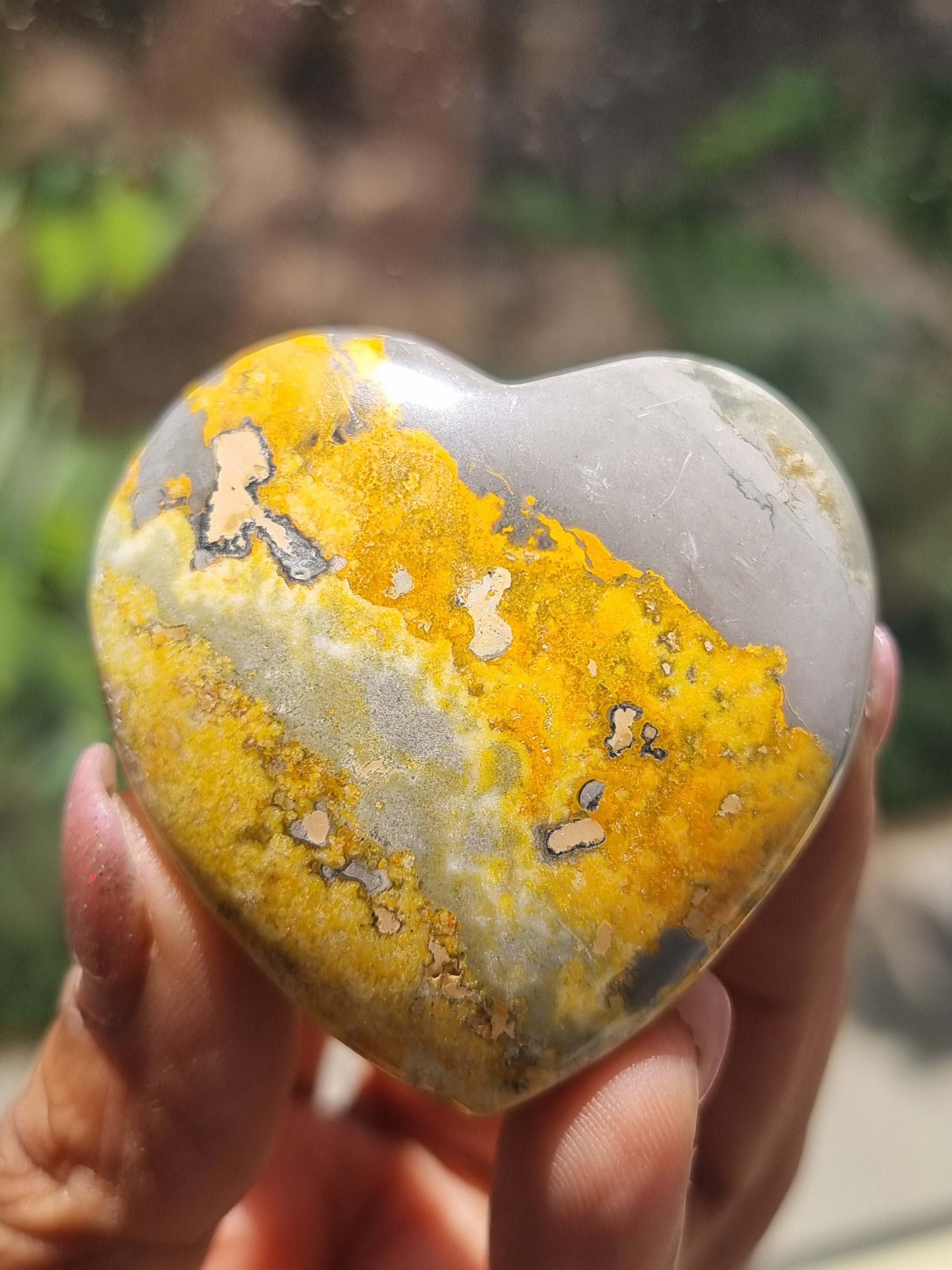 Bumblebee Jasper Heart