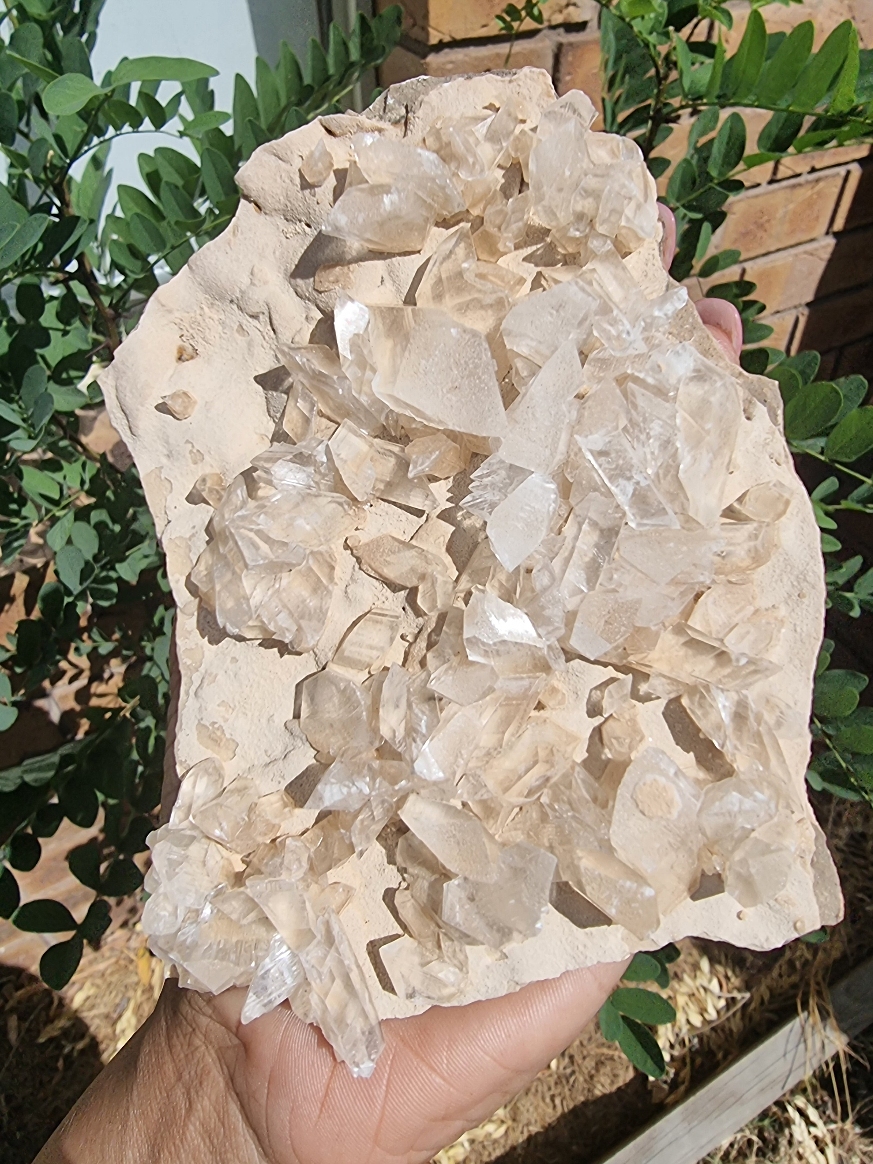 Selenite Cluster in Matrix