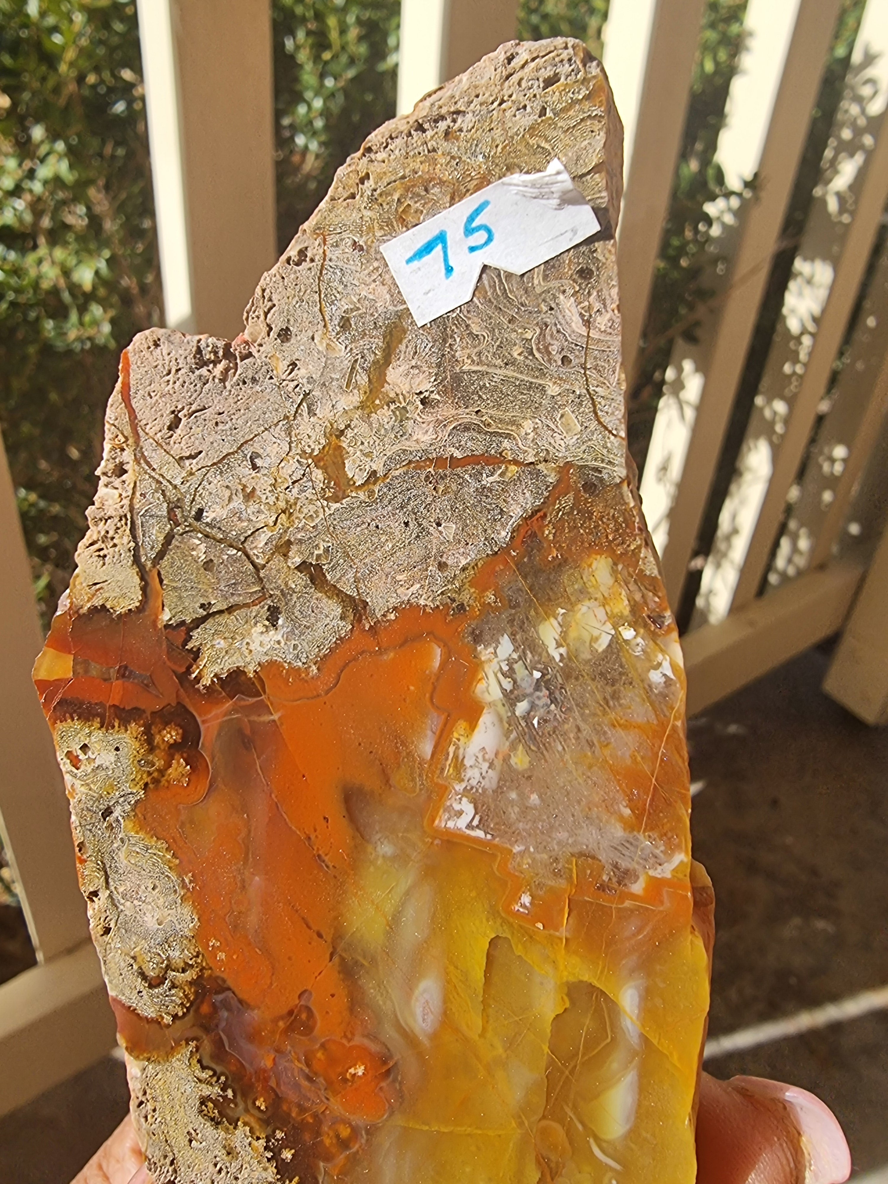 Thunderegg Rough Slab