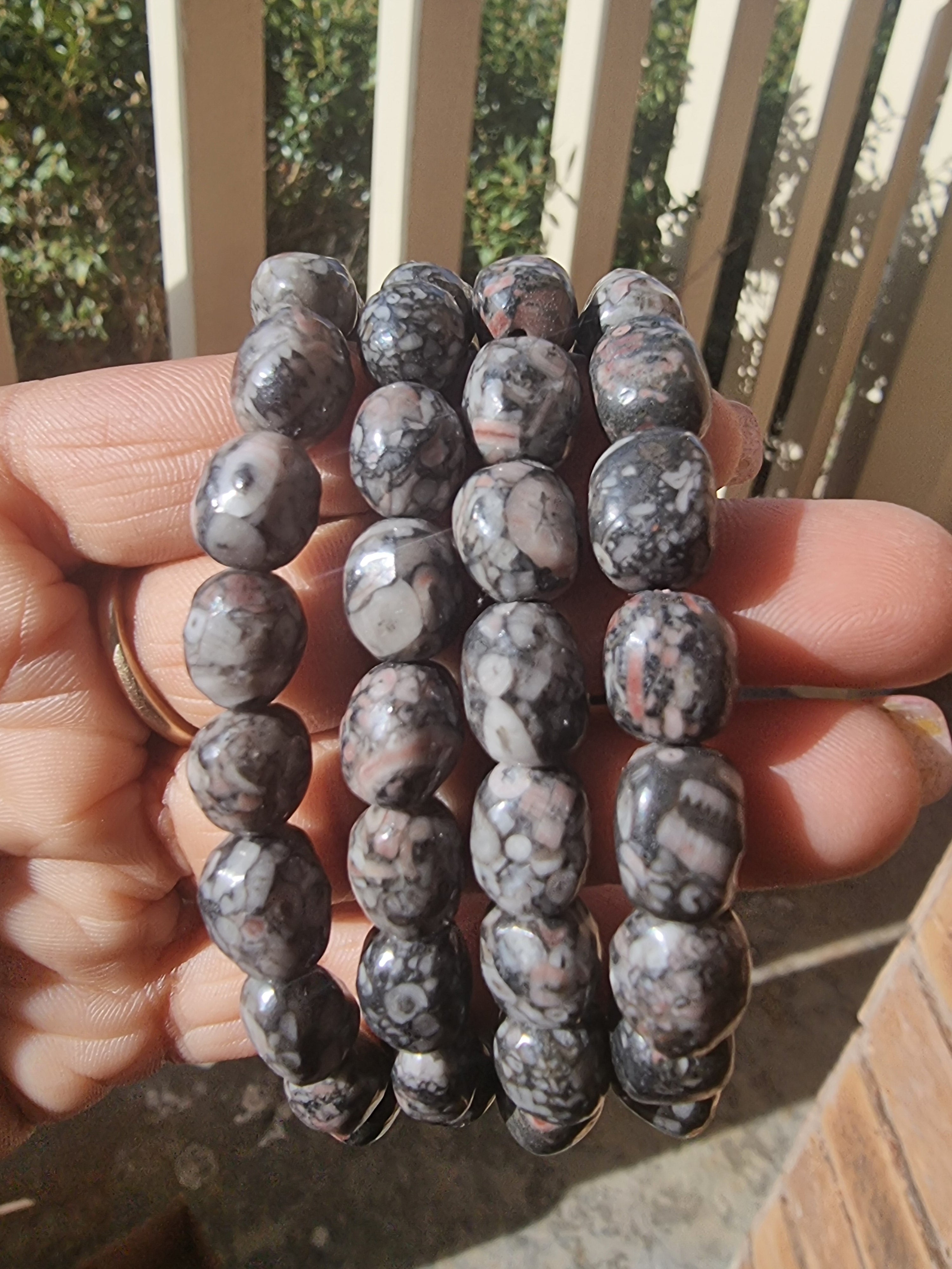 Crinoid Fossil Bracelet