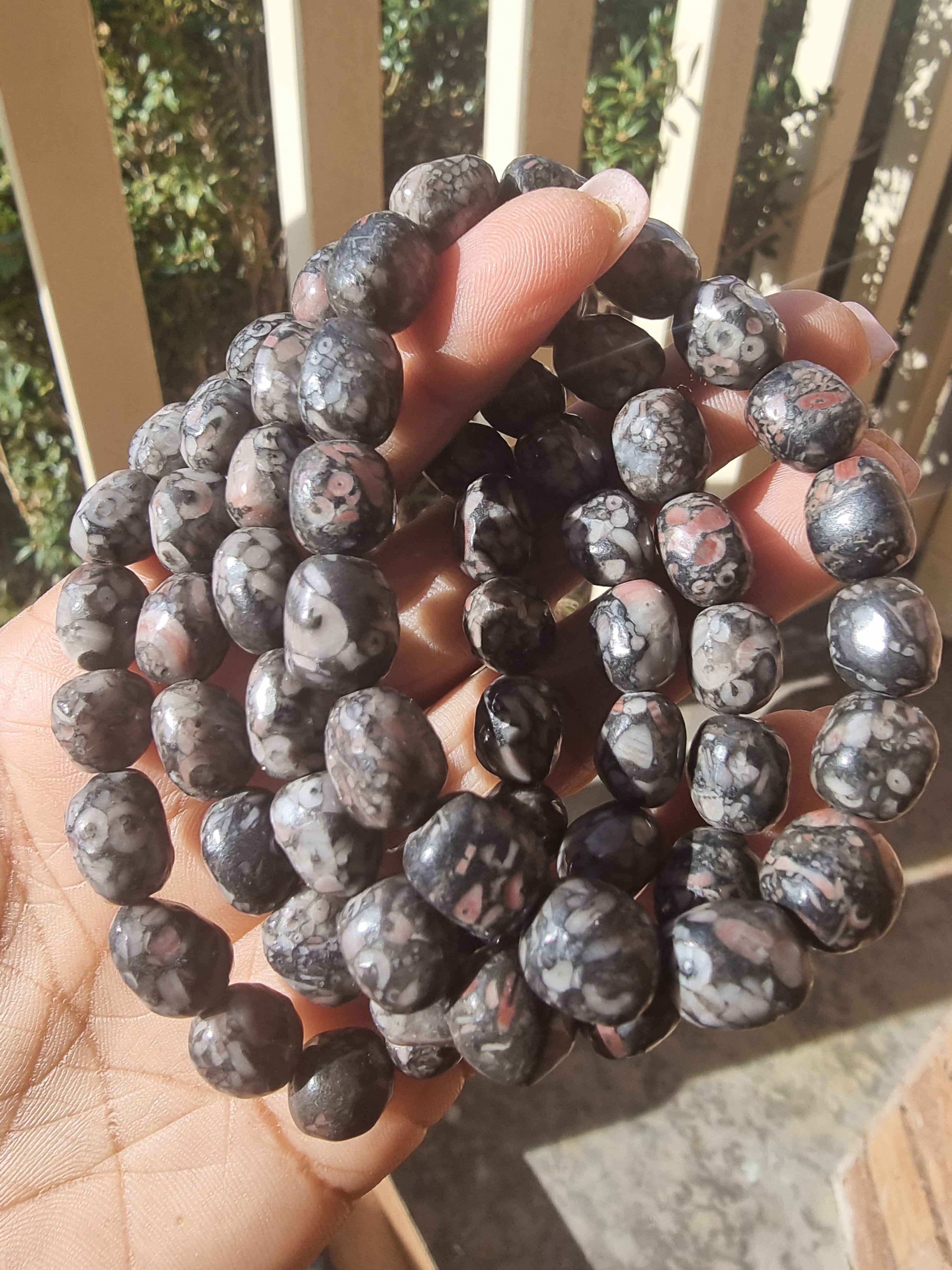 Crinoid Fossil Bracelet