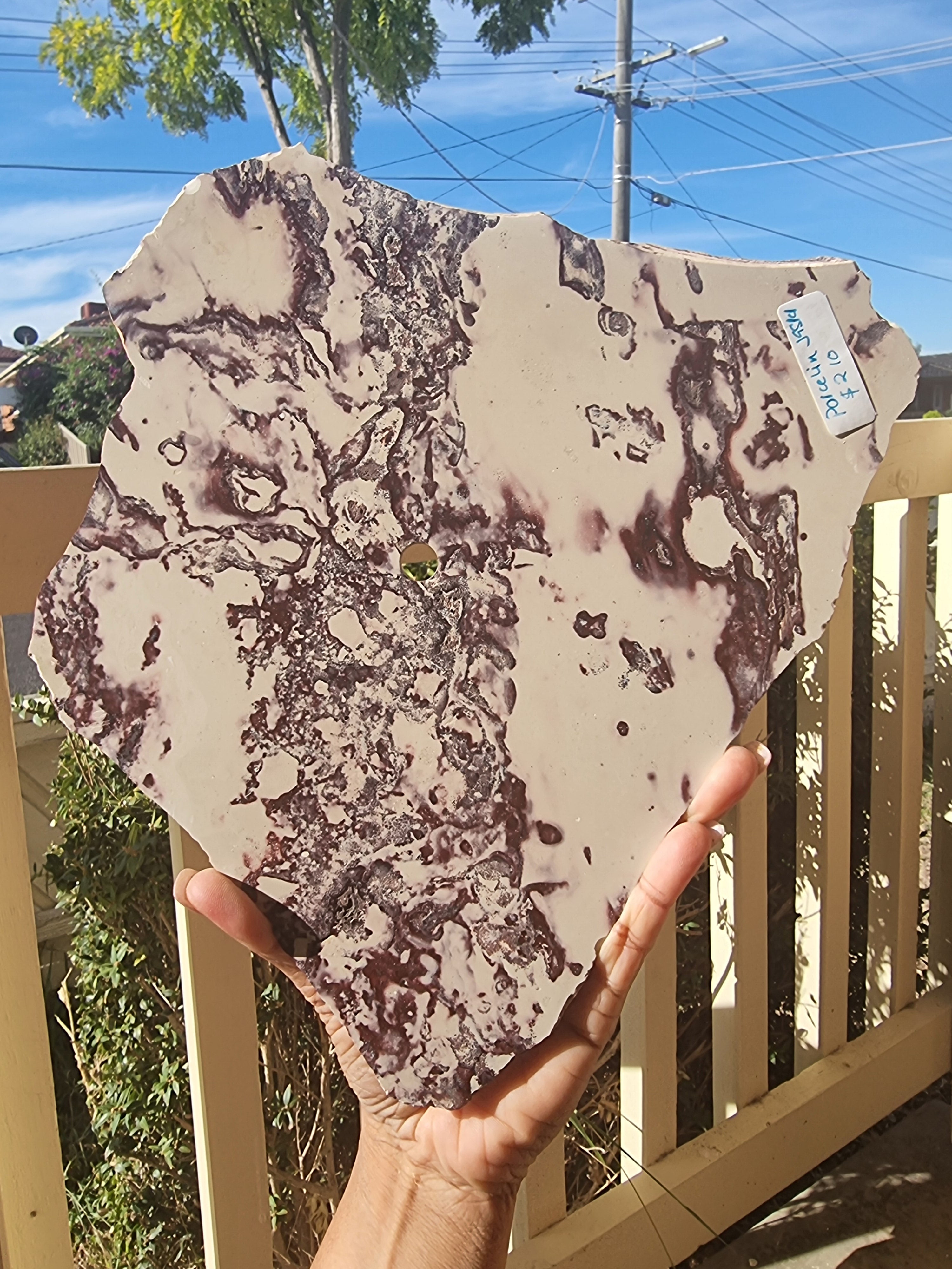 Porcelain Jasper Rough Slab