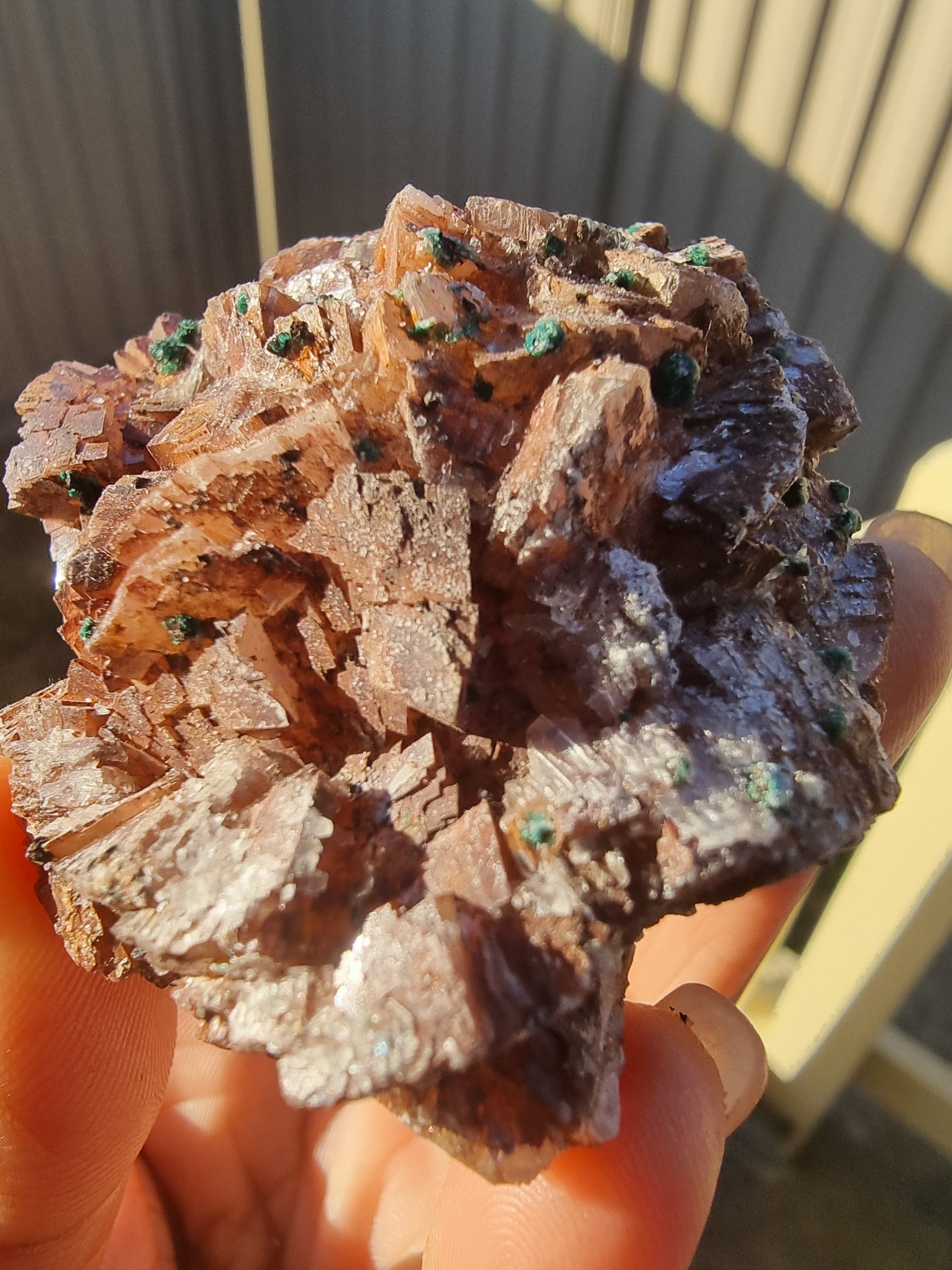 Stillbite Rough Cluster