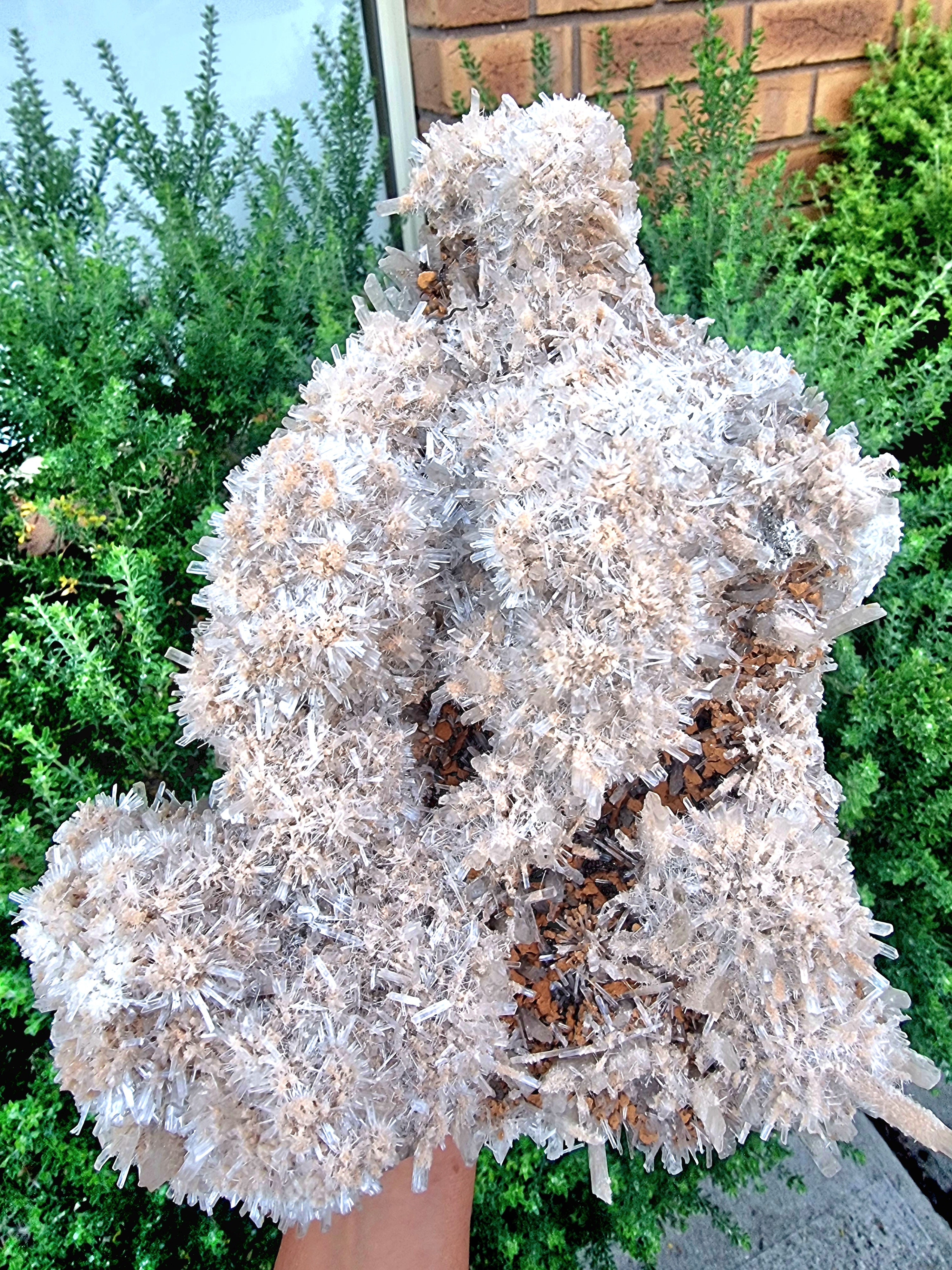 Gypsum Crystal Cluster