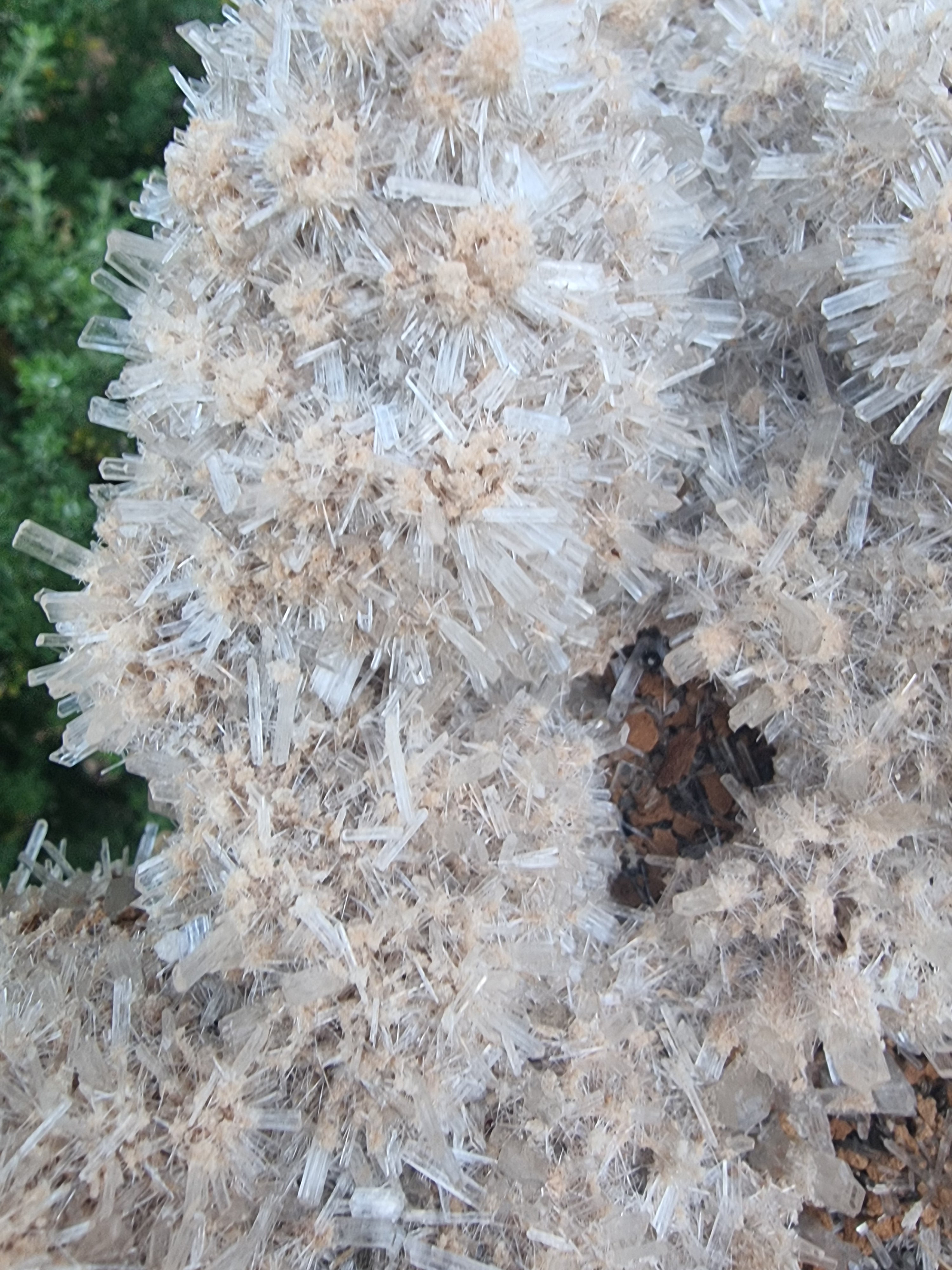 Gypsum Crystal Cluster