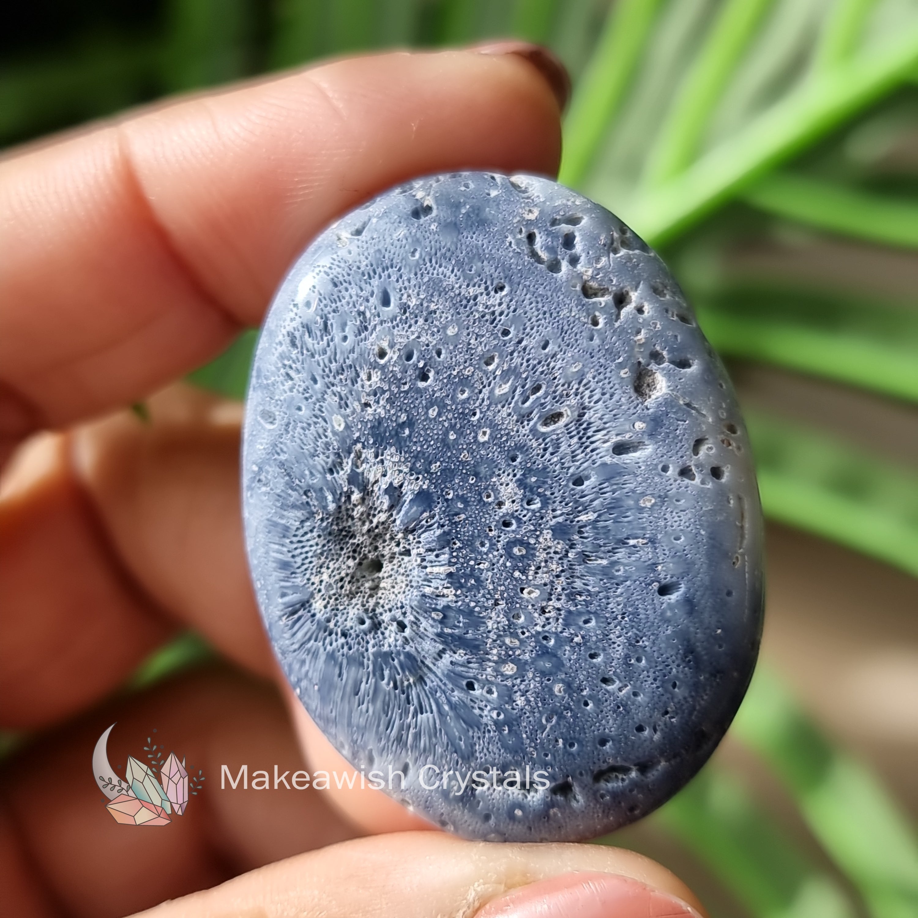 Blue Coral Flatstone