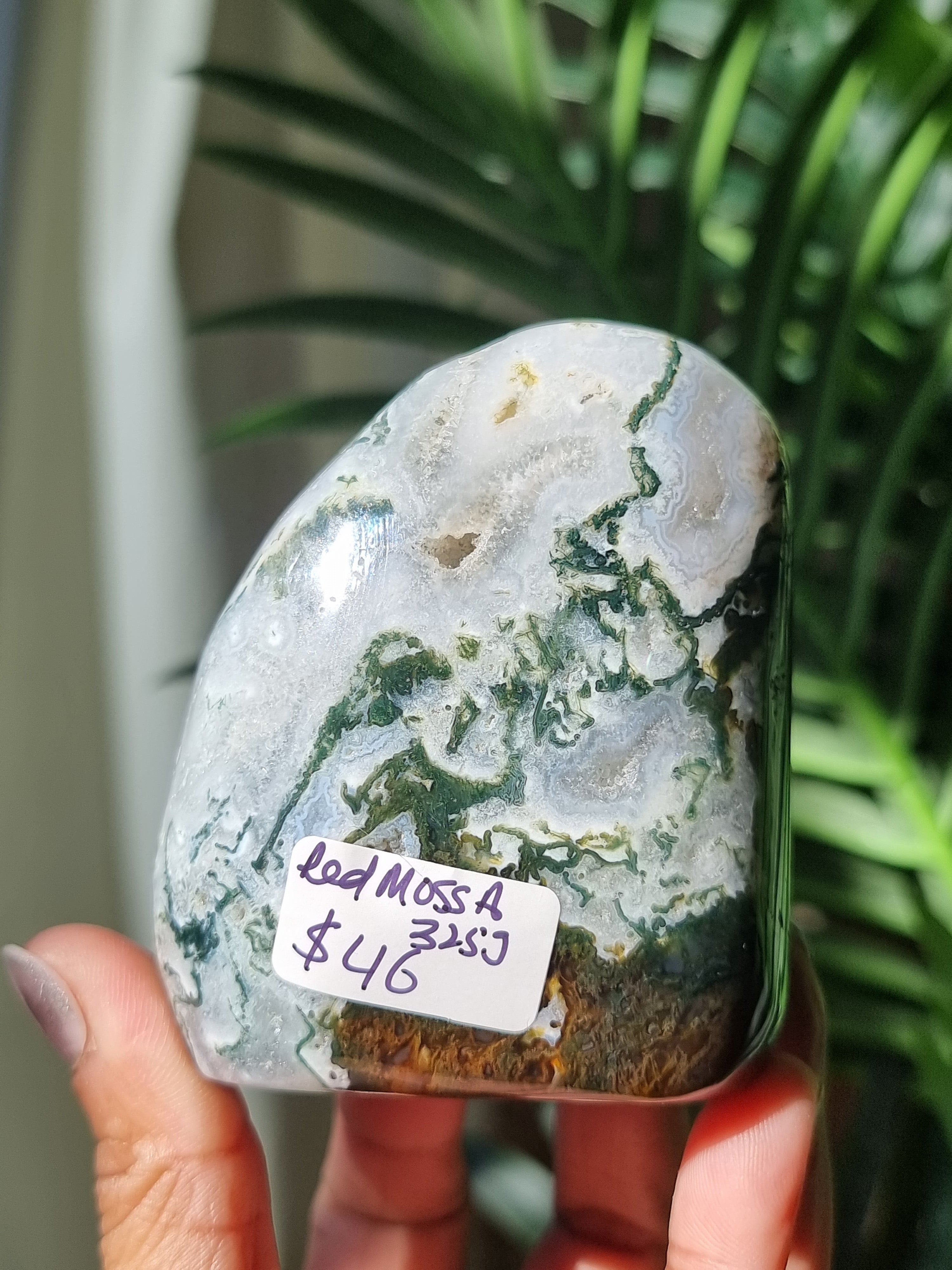 Moss Agate Freeform