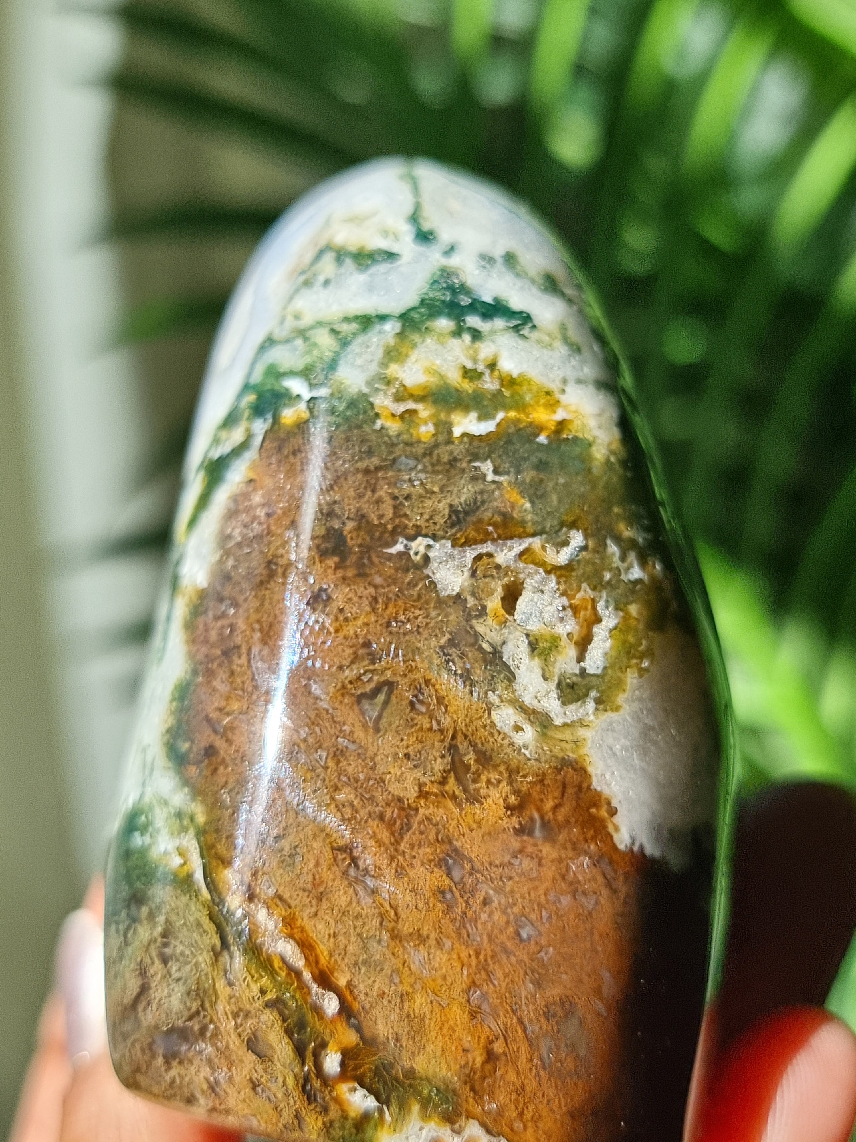 Moss Agate Freeform