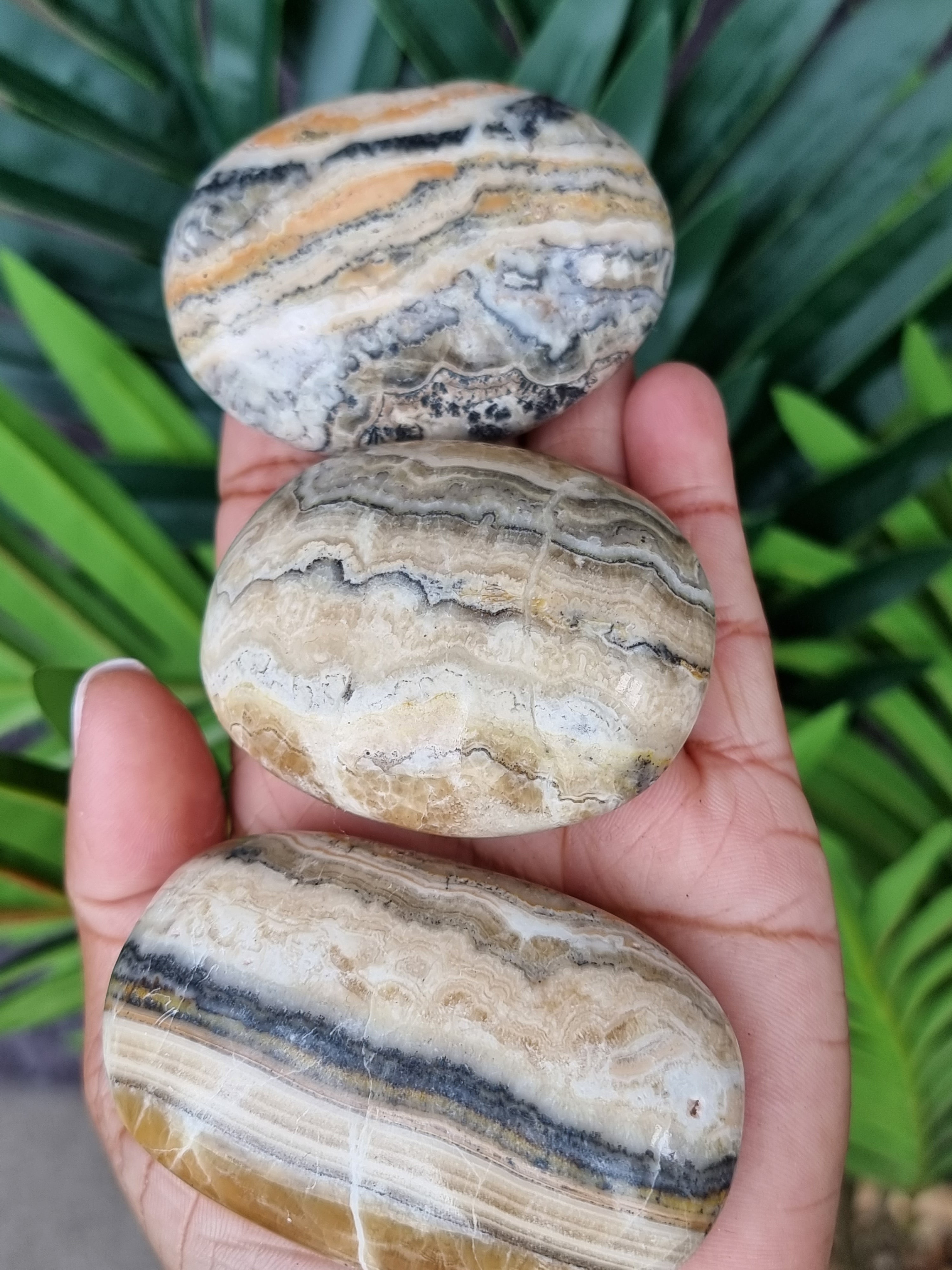 Bumblee Bee Jasper Palm Stone