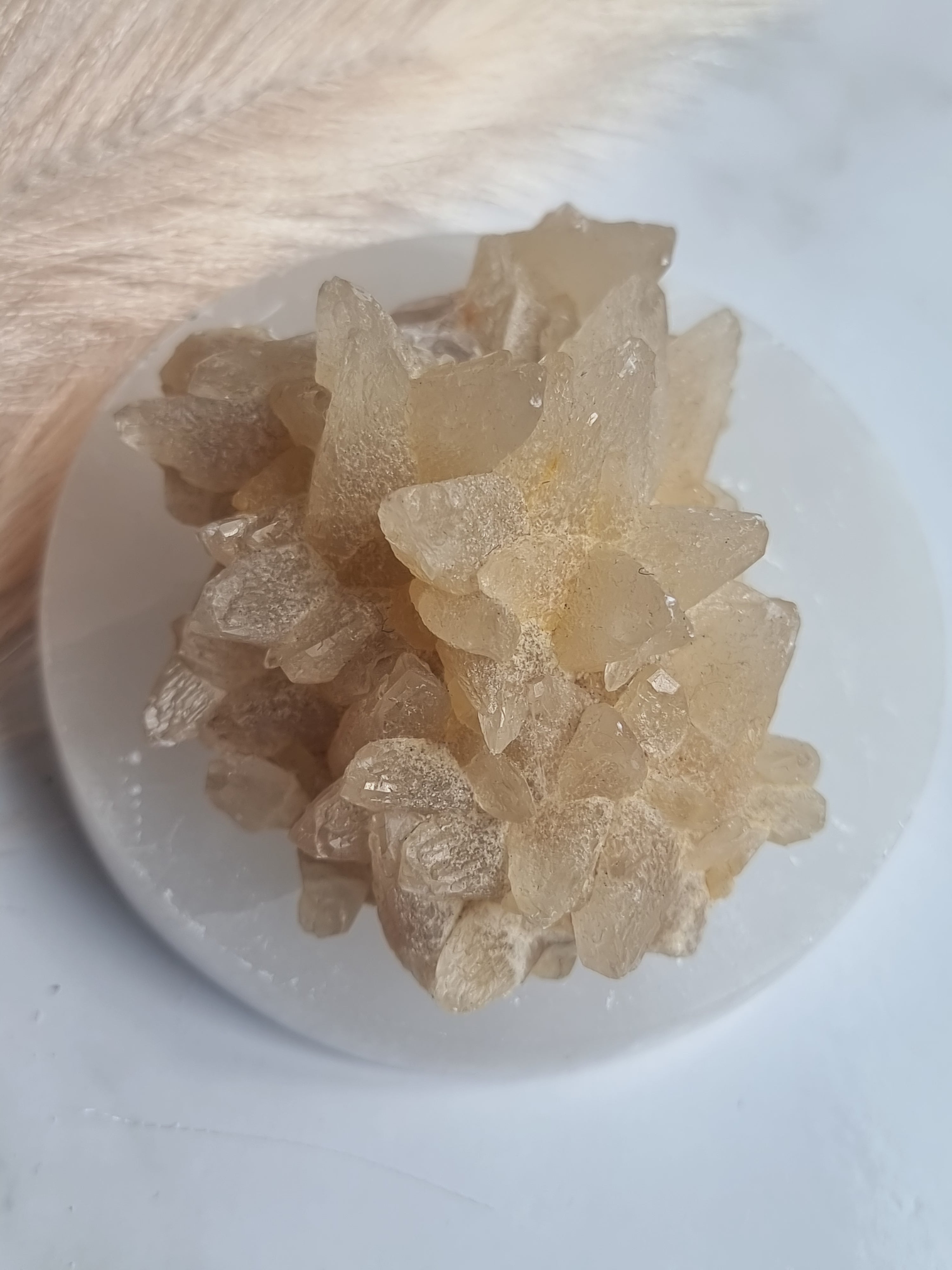 Dogtooth Calcite Cluster