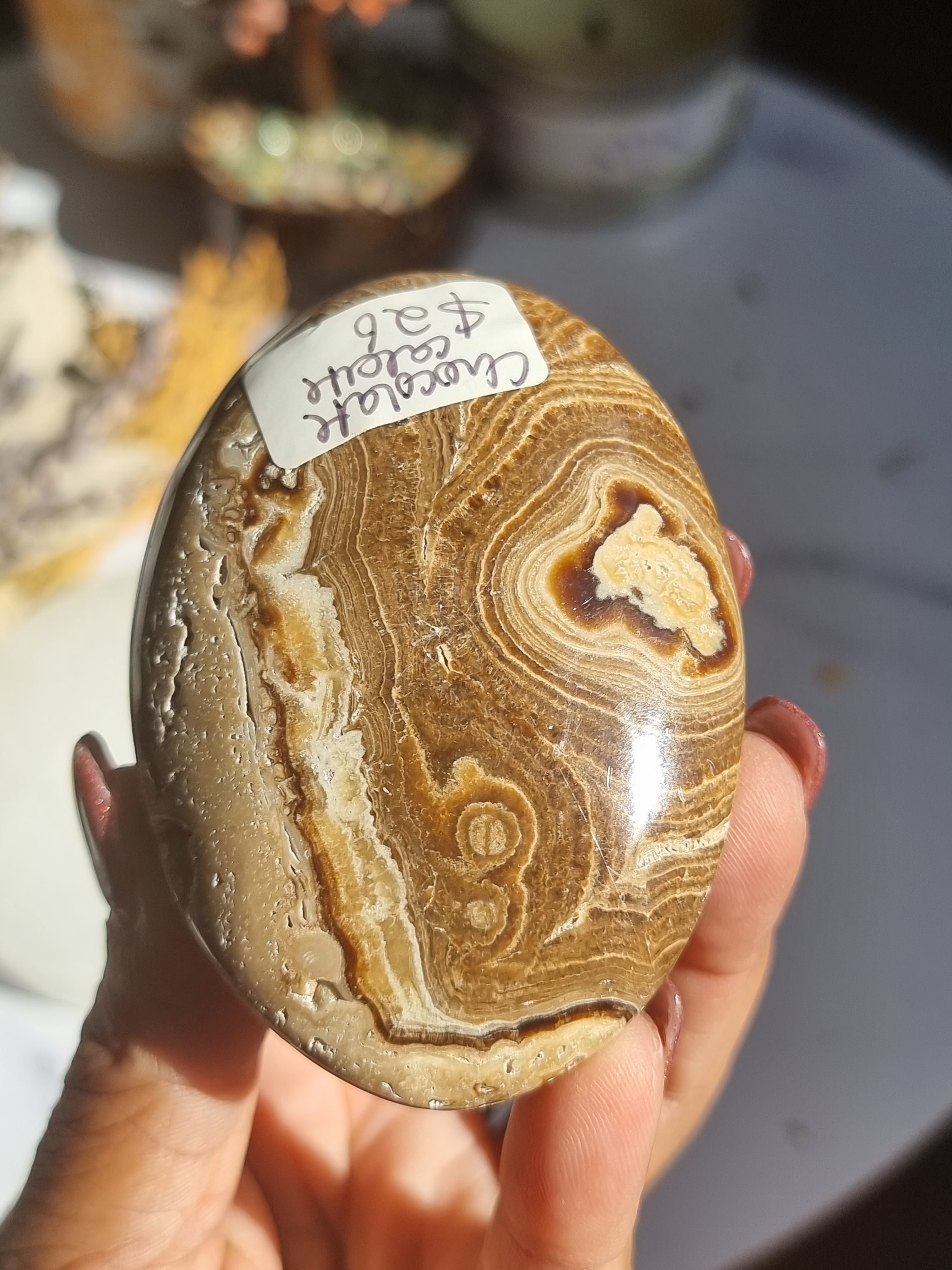 Chocolate Calcite Palm Stone