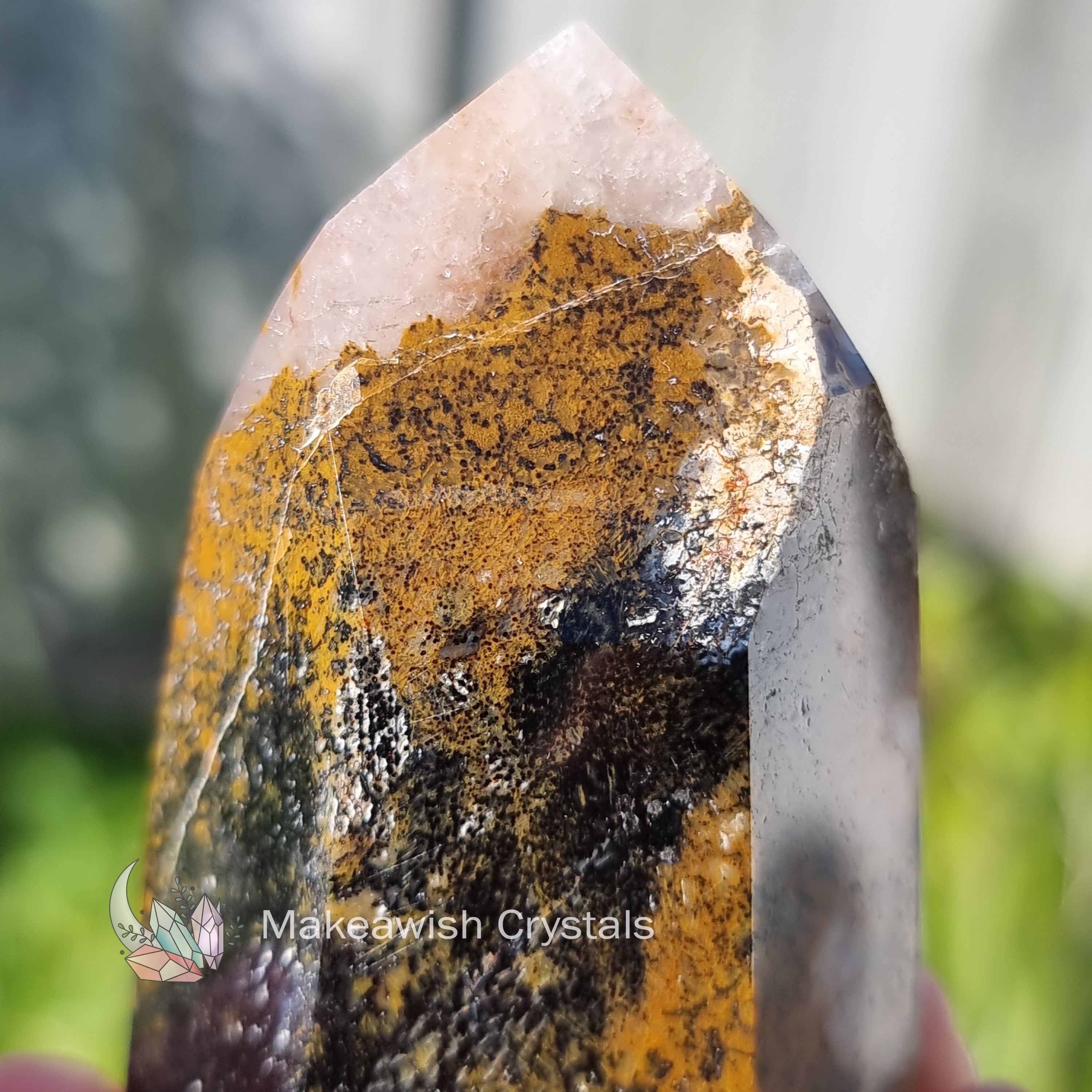 Dendritic Agate Point