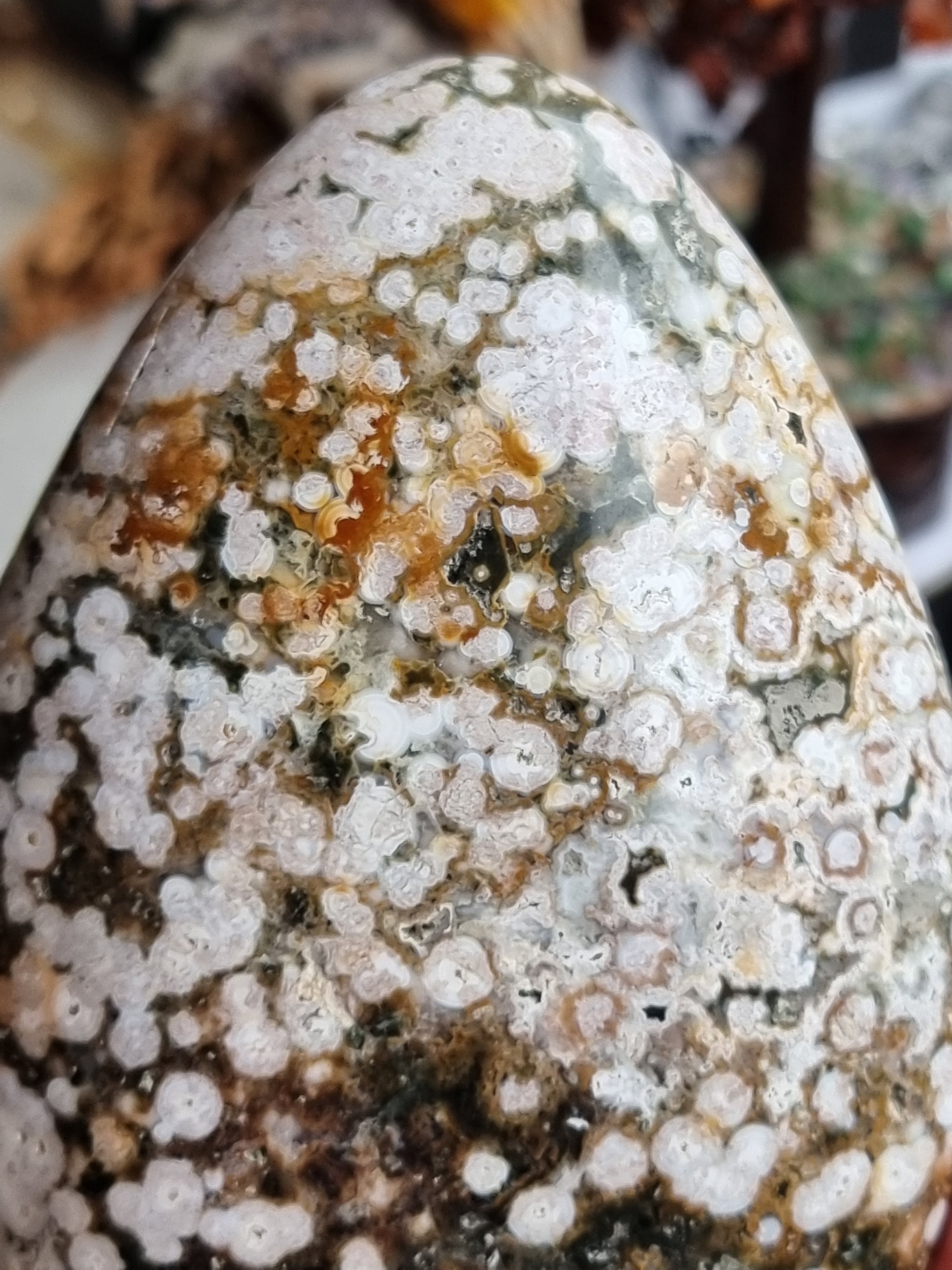 Ocean Jasper Freeform