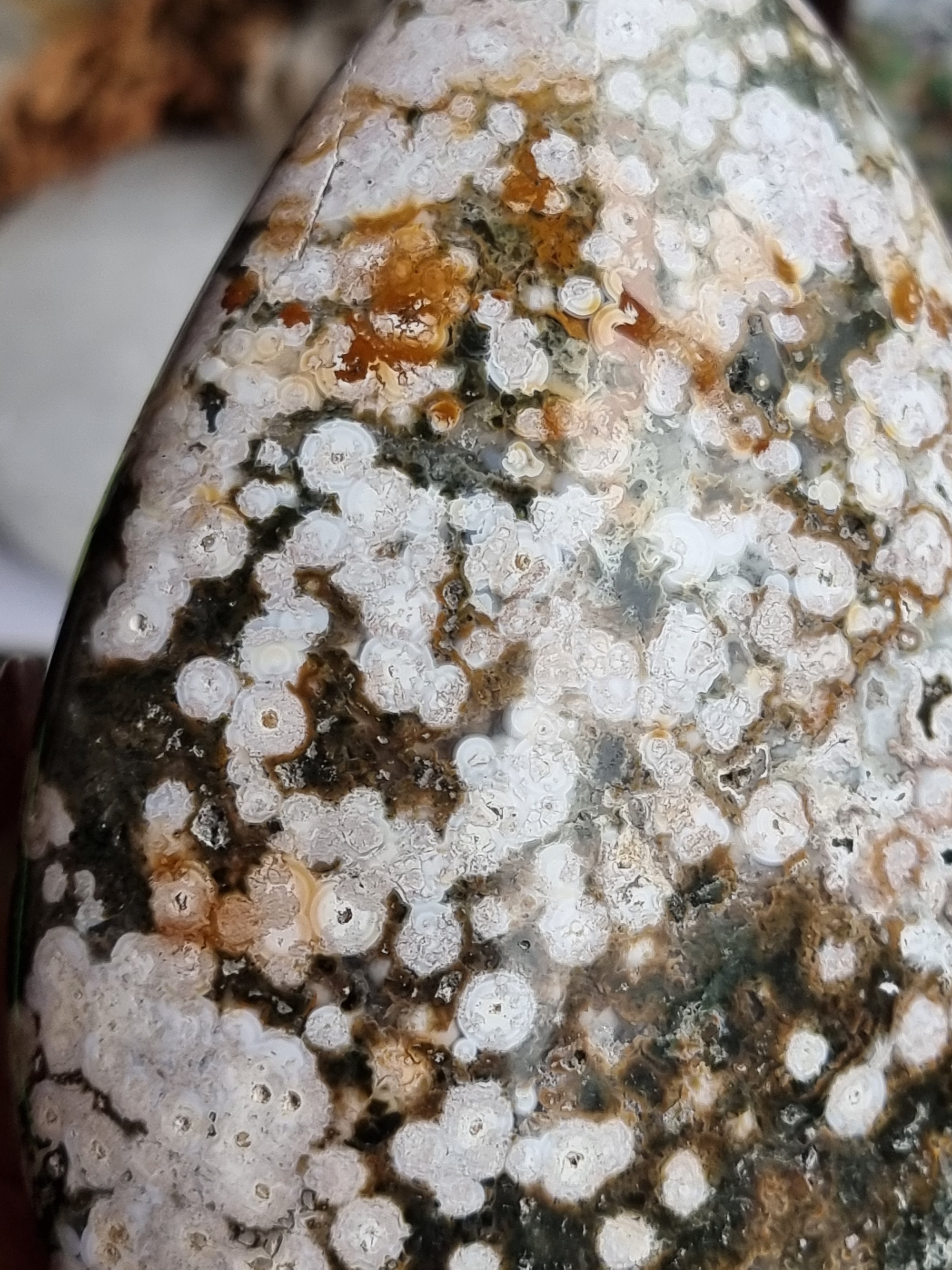 Ocean Jasper Freeform