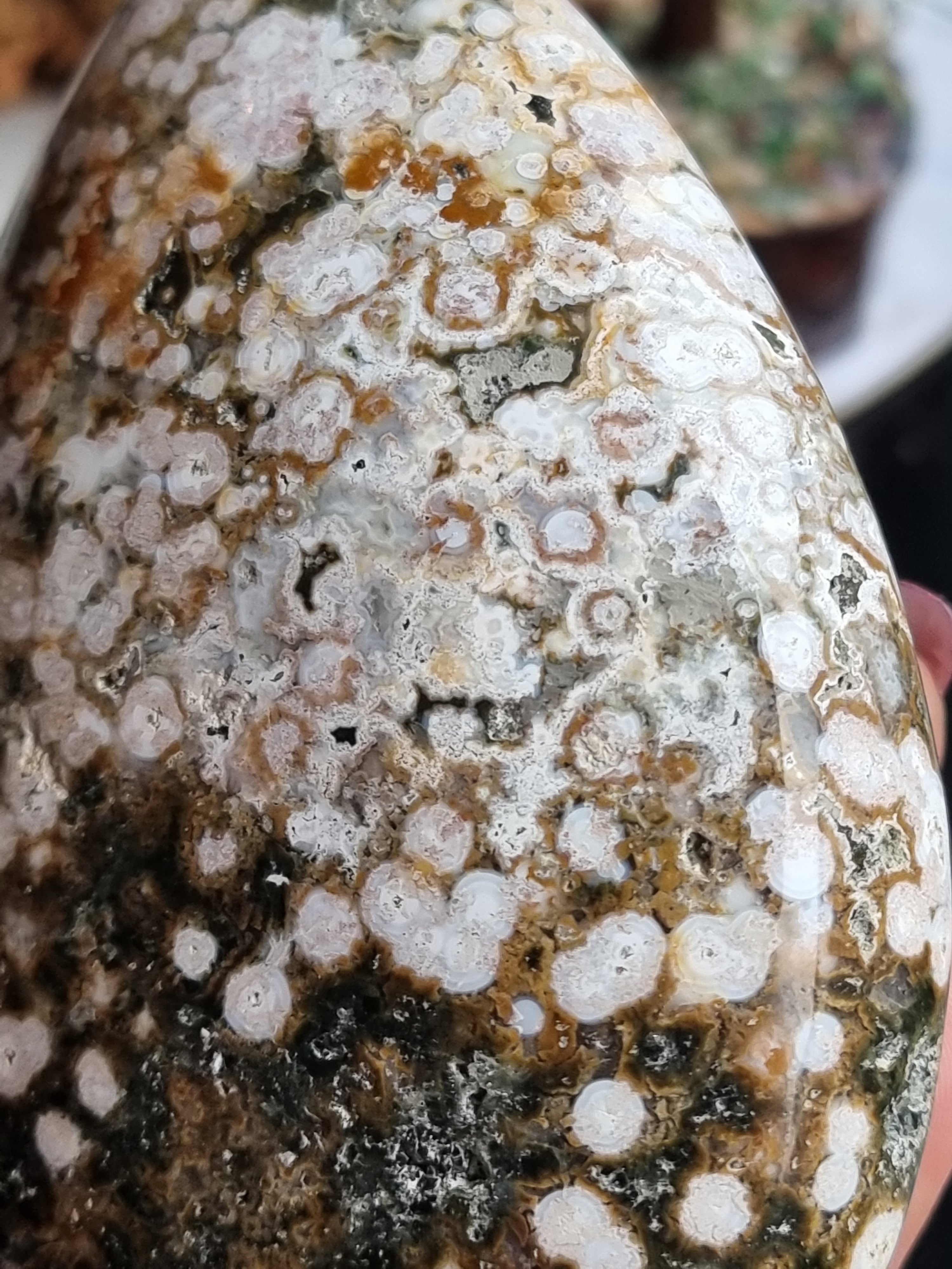 Ocean Jasper Freeform