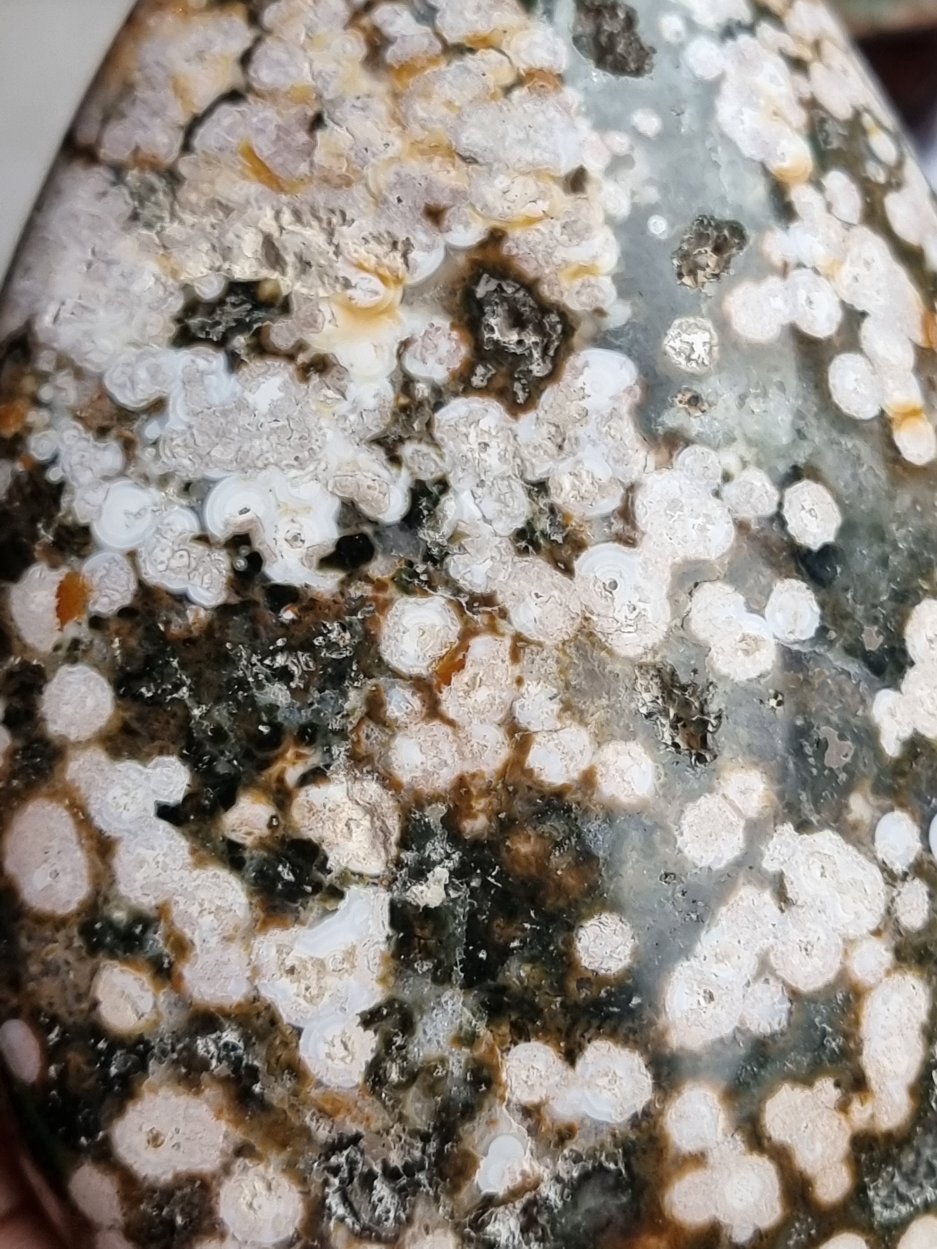 Ocean Jasper Freeform