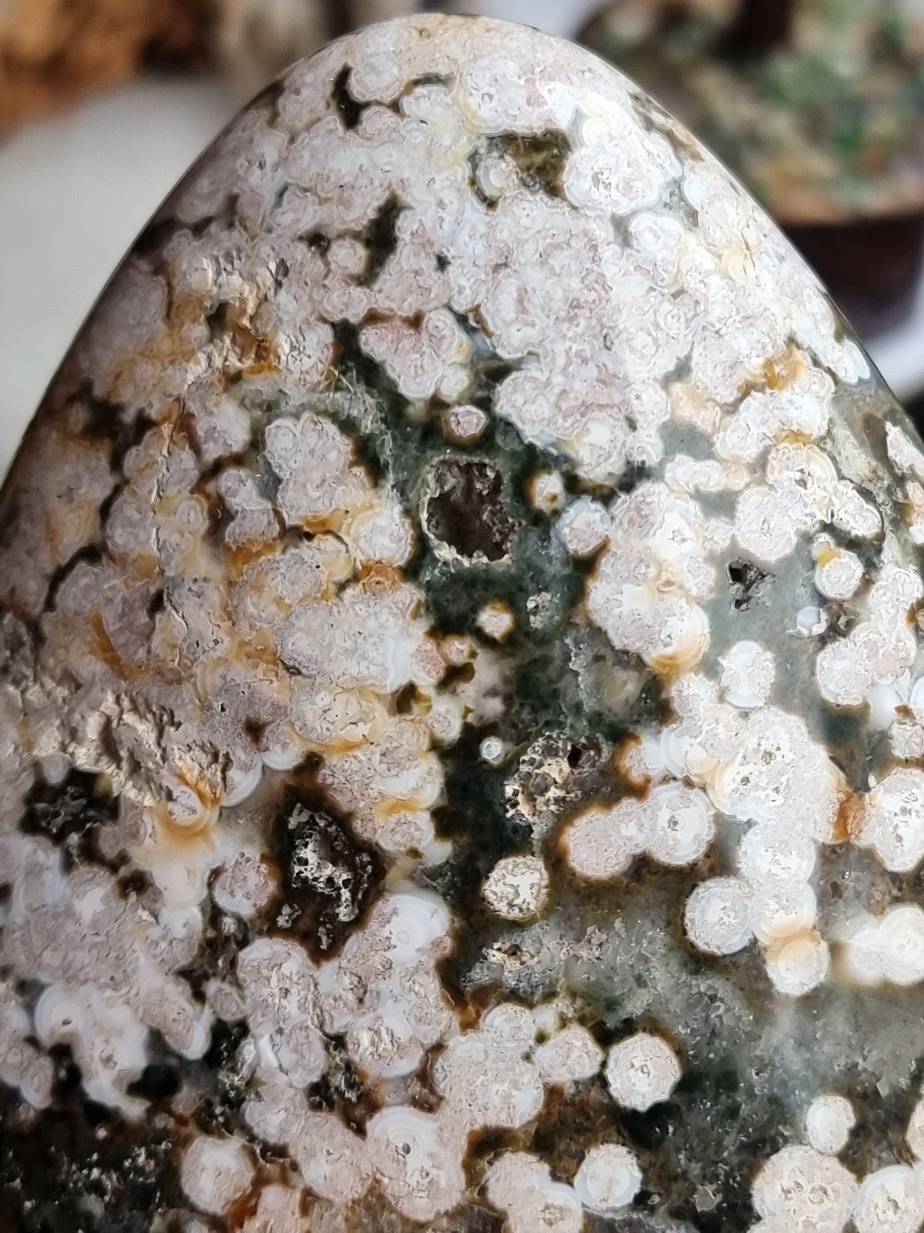 Ocean Jasper Freeform