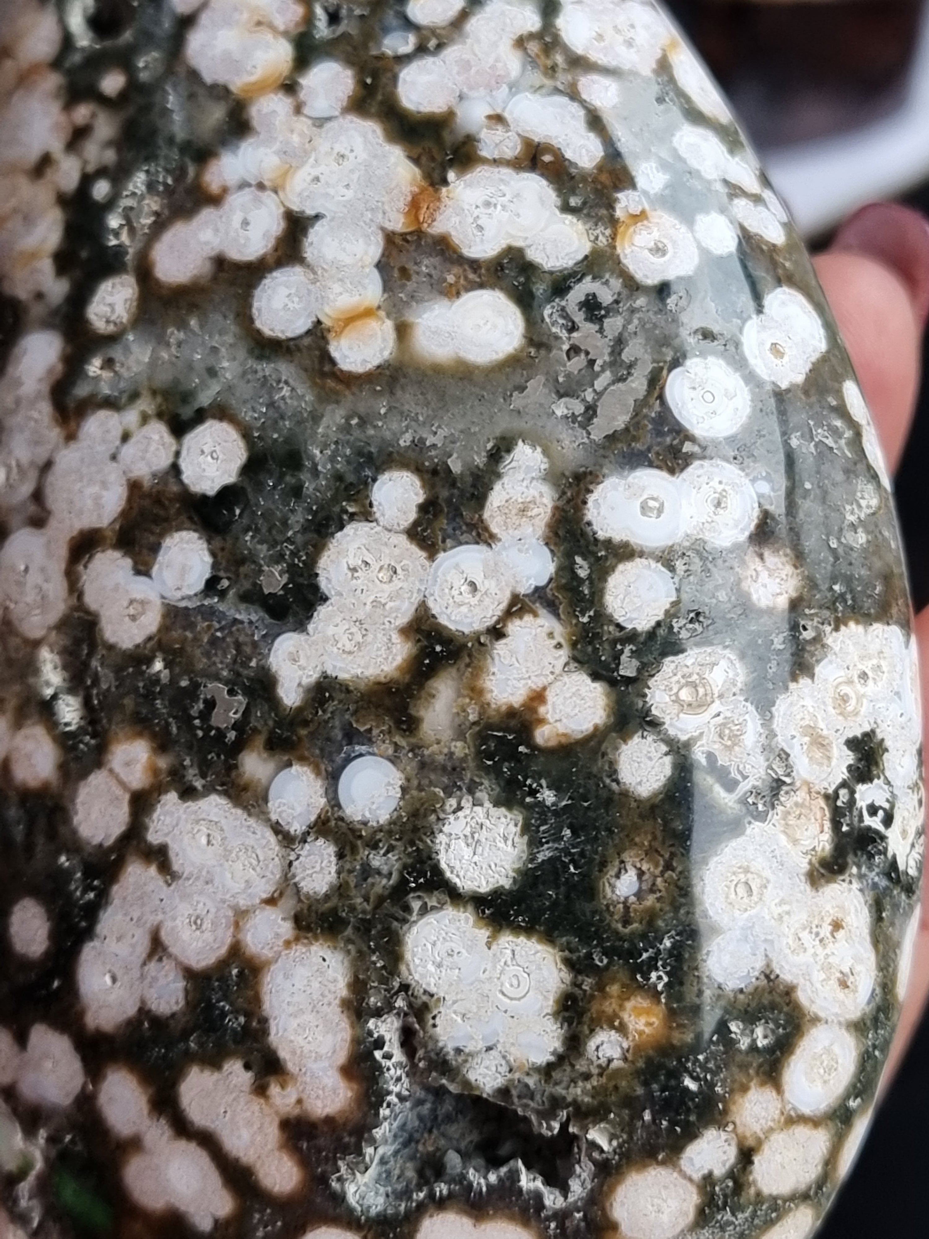 Ocean Jasper Freeform