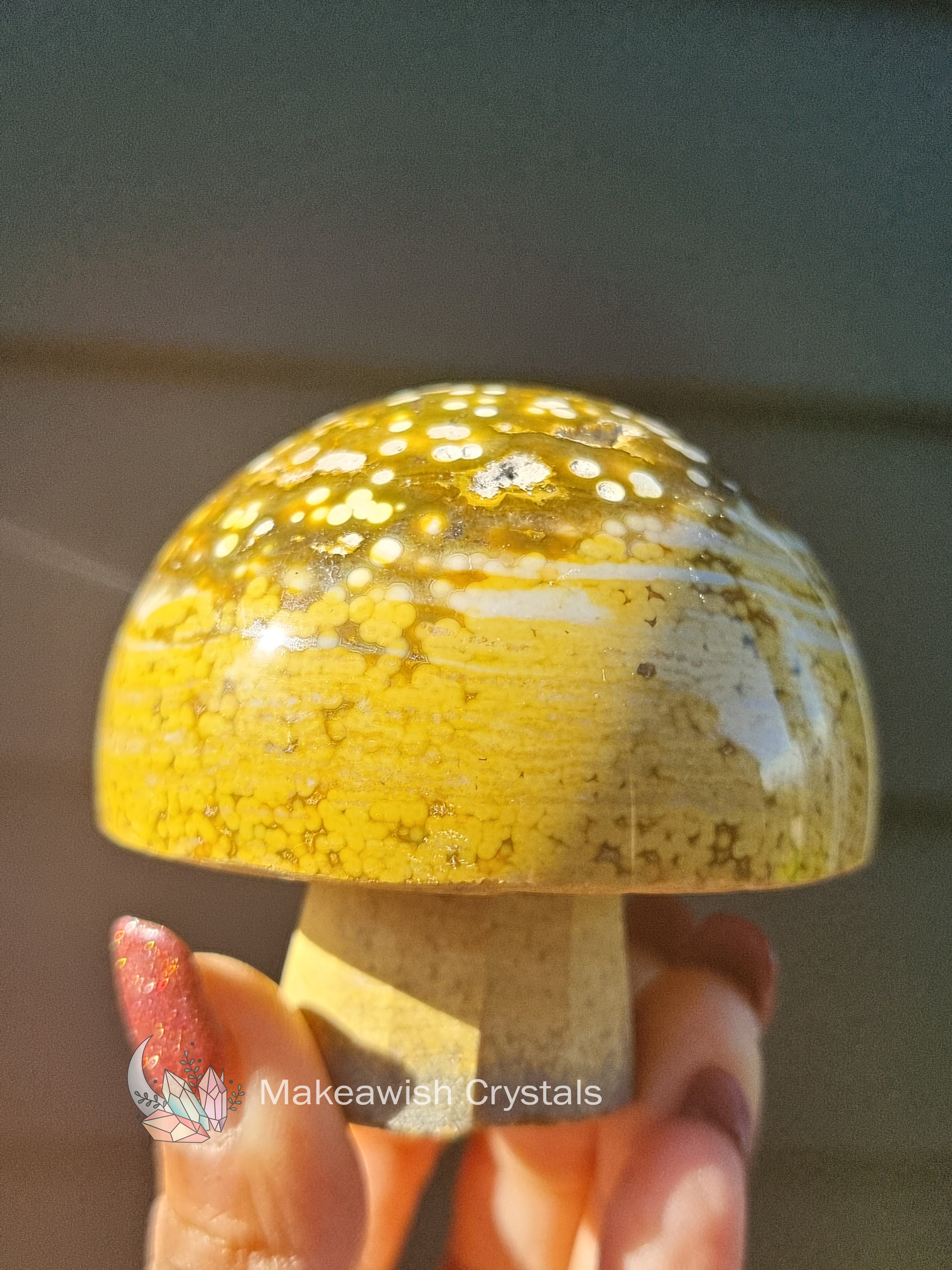 Ocean Jasper Mushroom