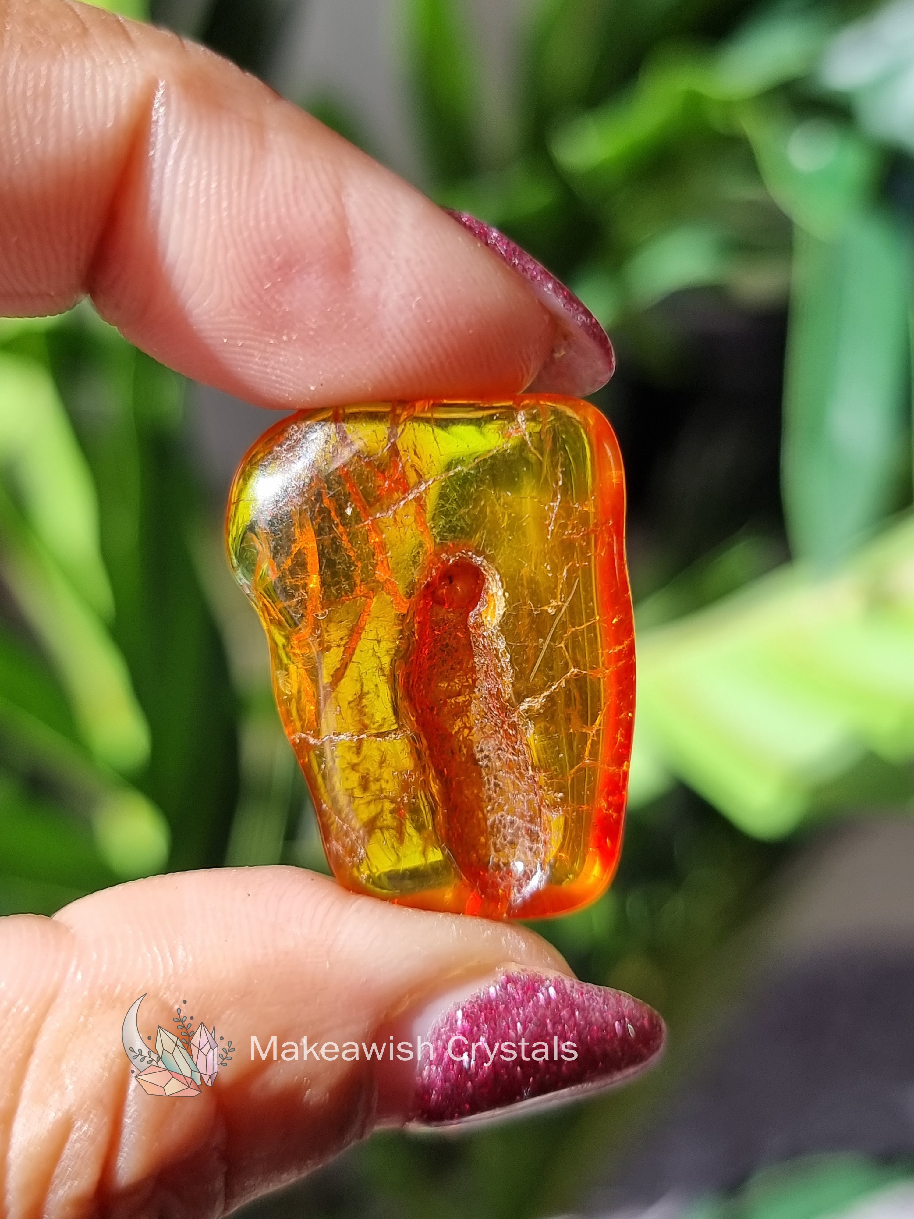 Baltic Amber Tumble