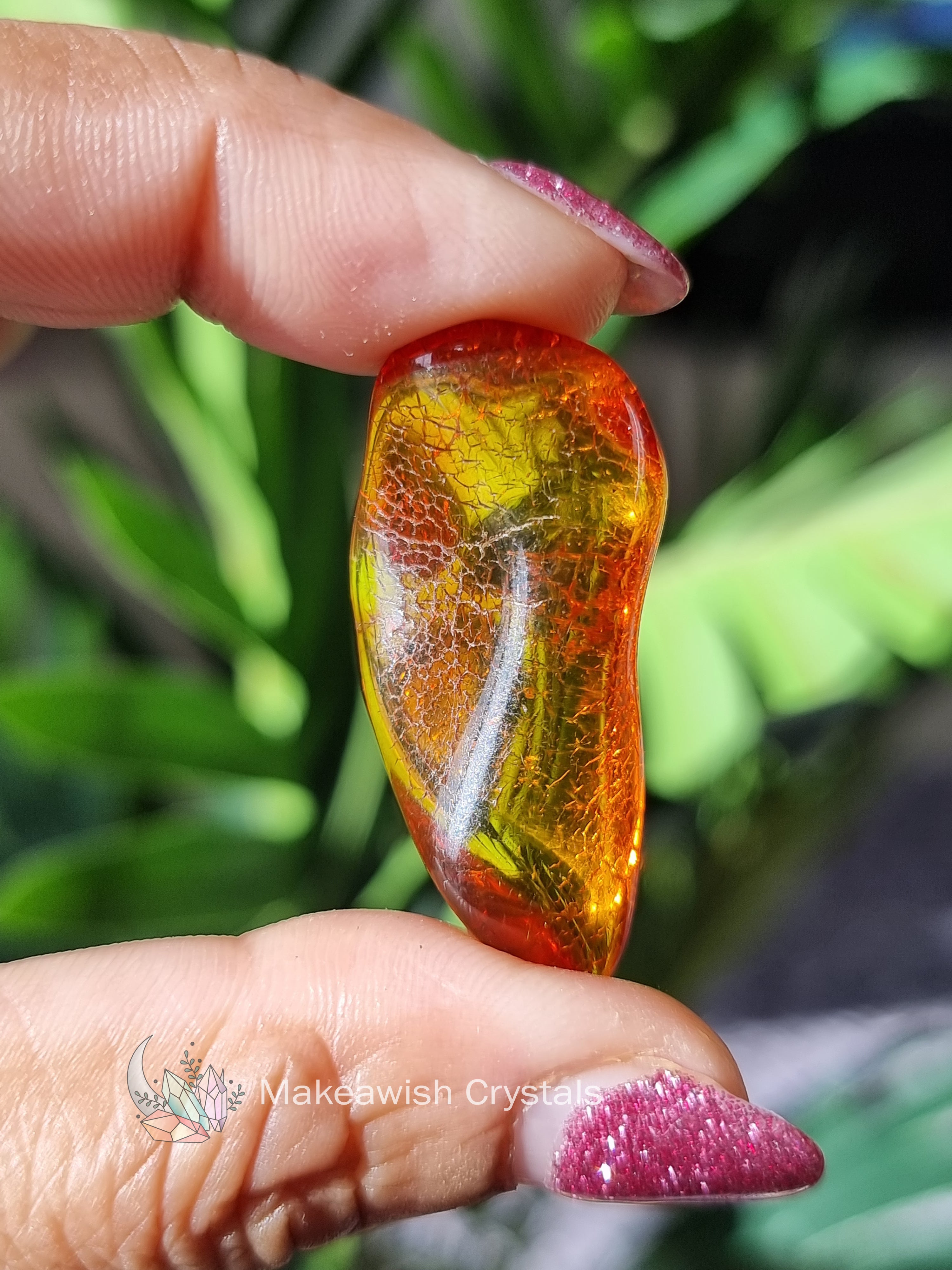 Baltic Amber Tumble