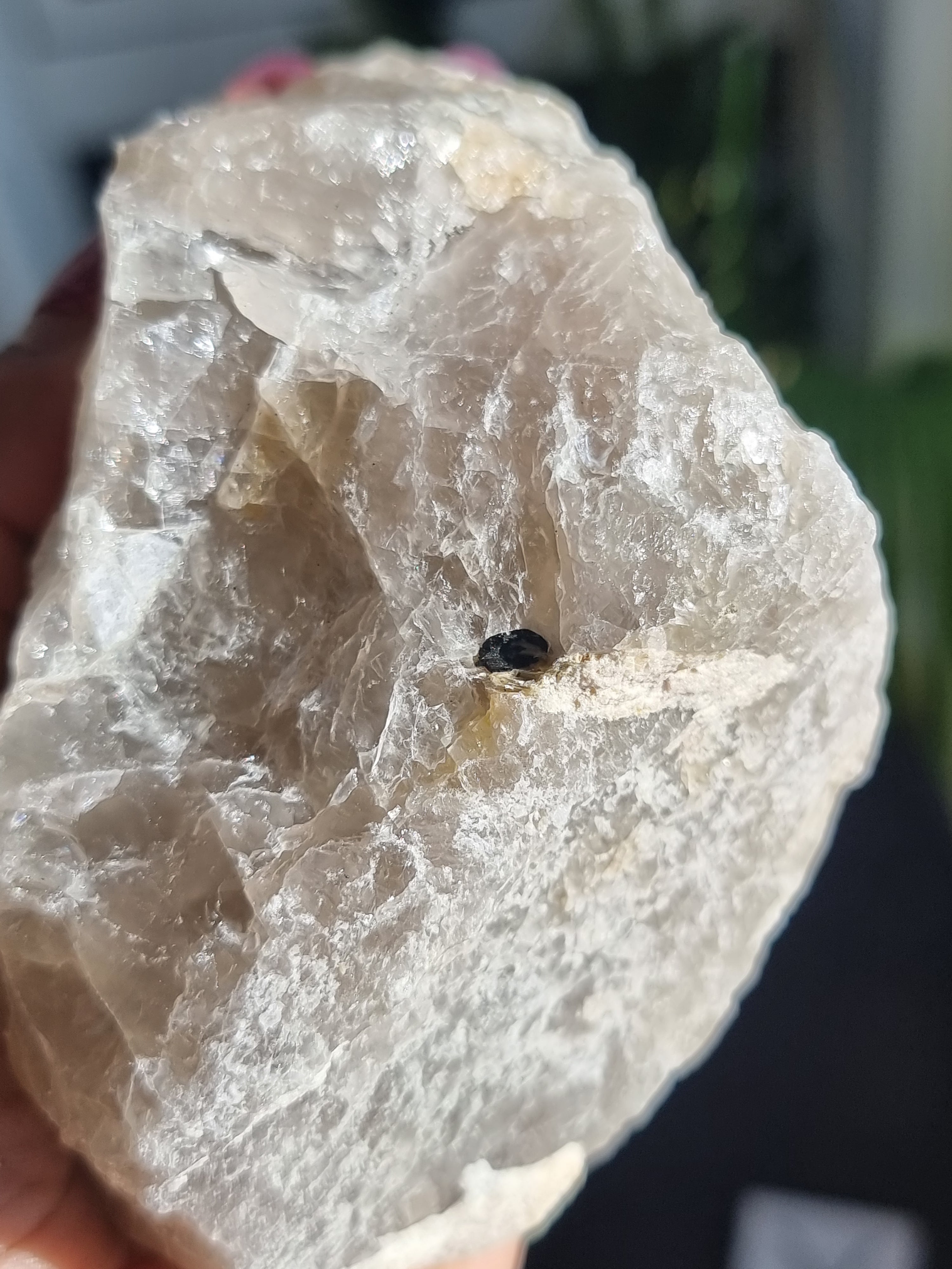 Black Tourmaline in Quartz Rough