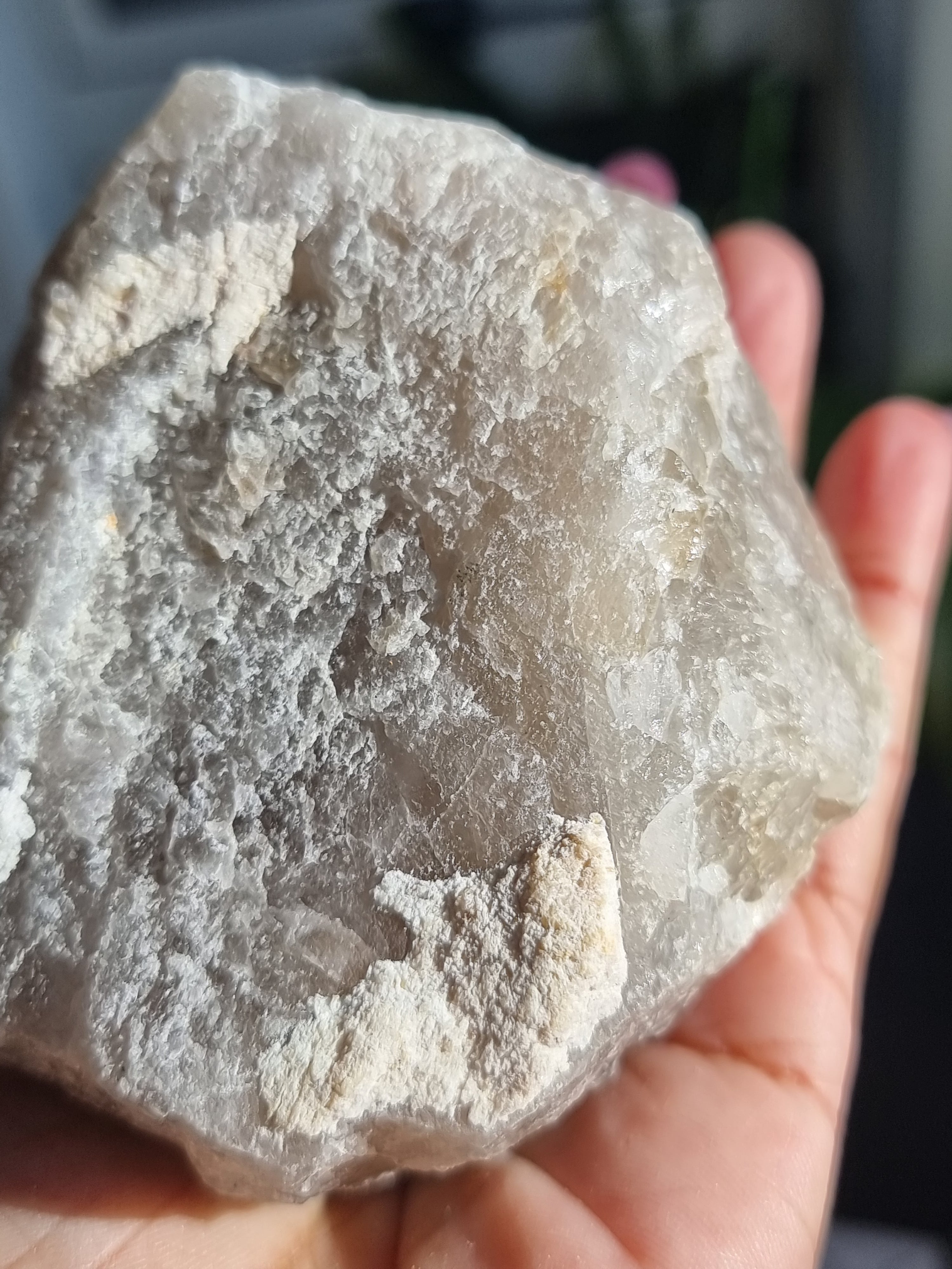 Black Tourmaline in Quartz Rough