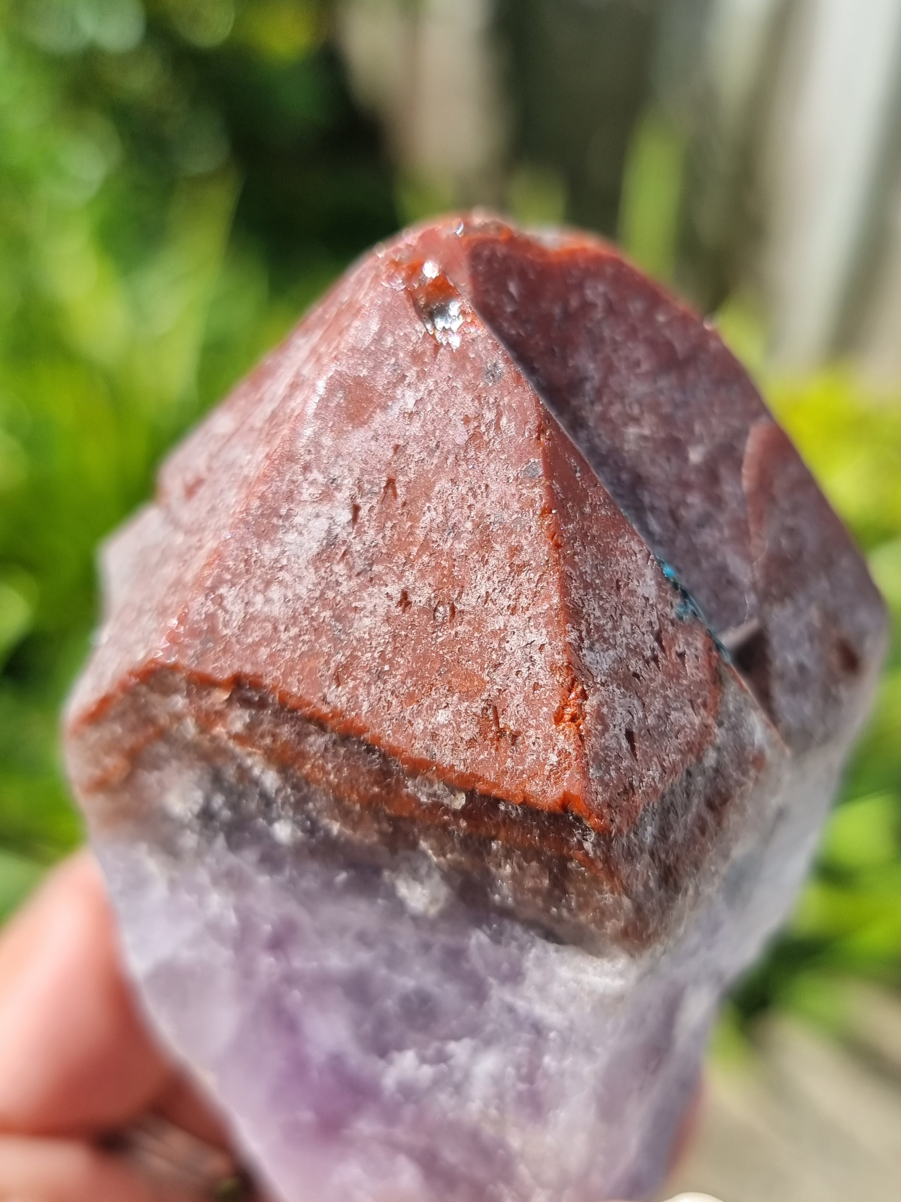 Auralite Root Rough Large