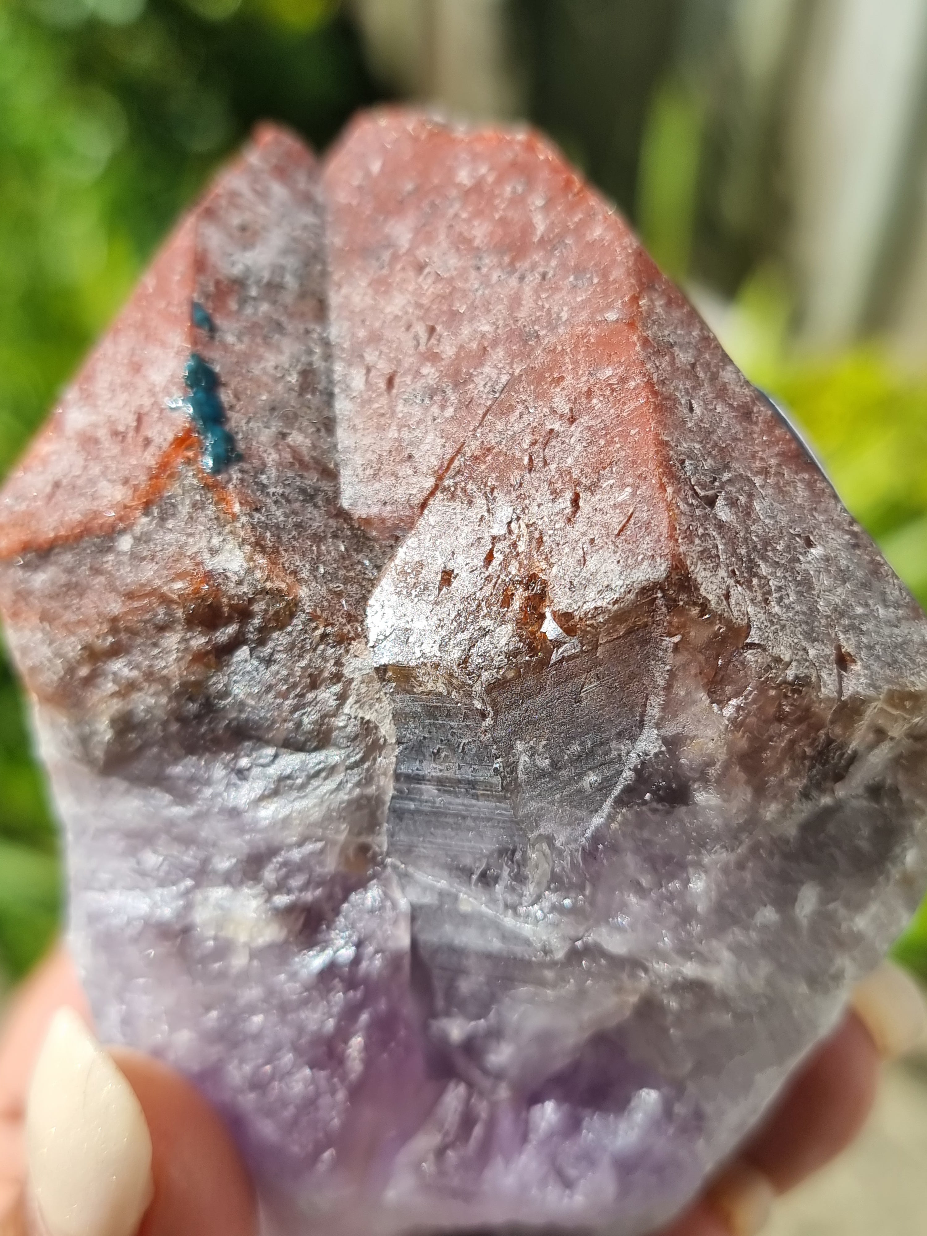 Auralite Root Rough Large