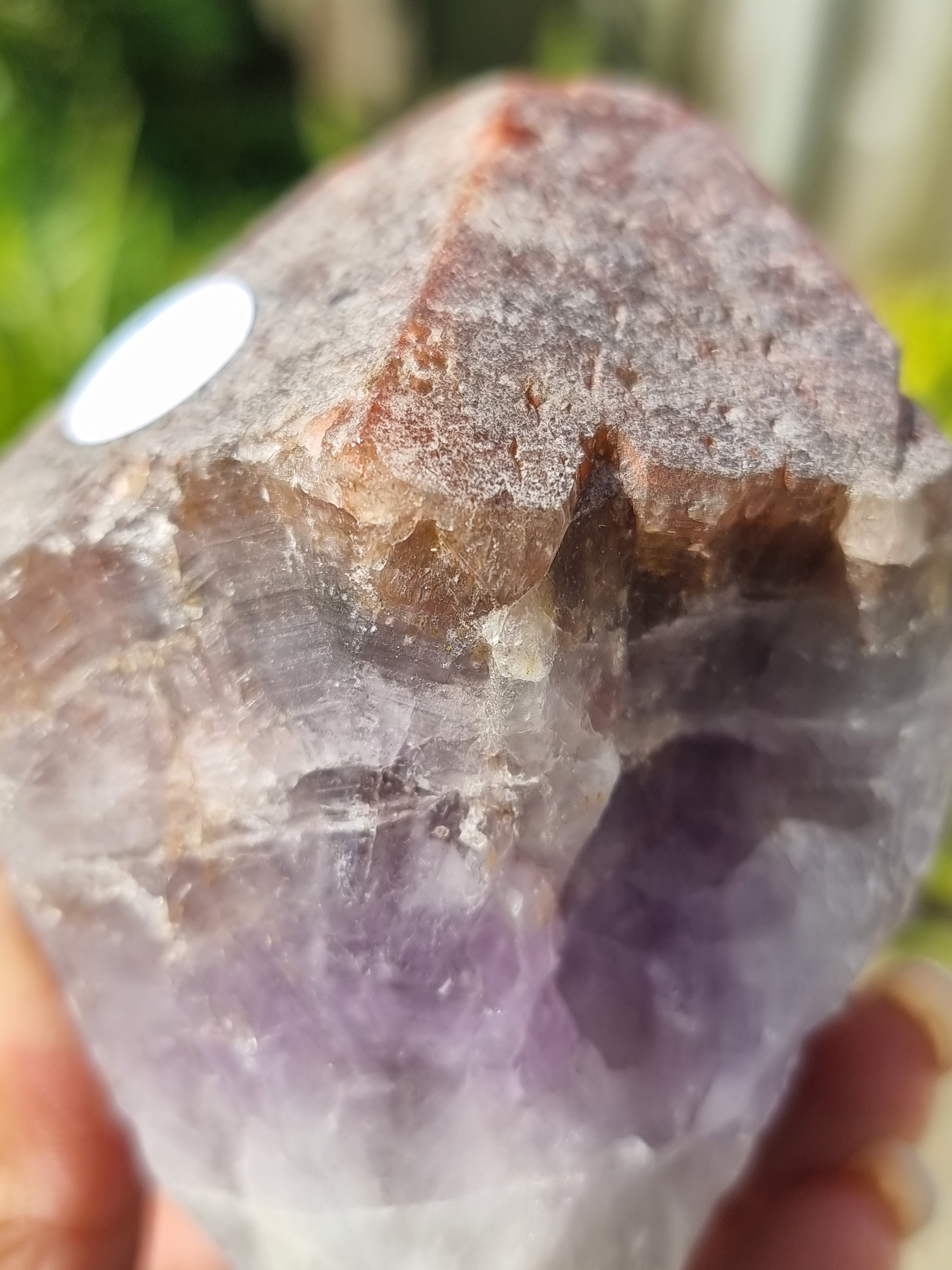 Auralite Root Rough Large