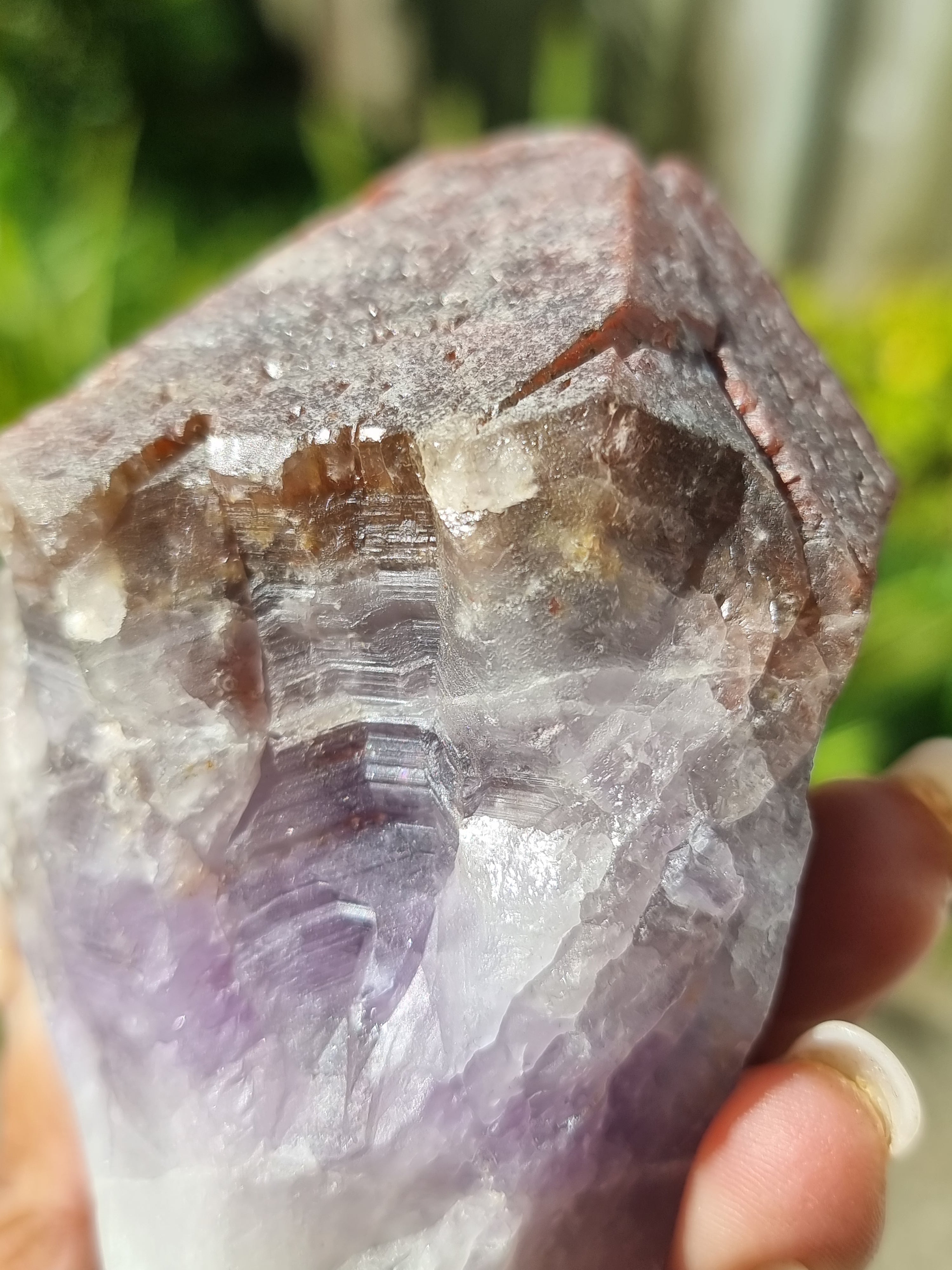 Auralite Root Rough Large